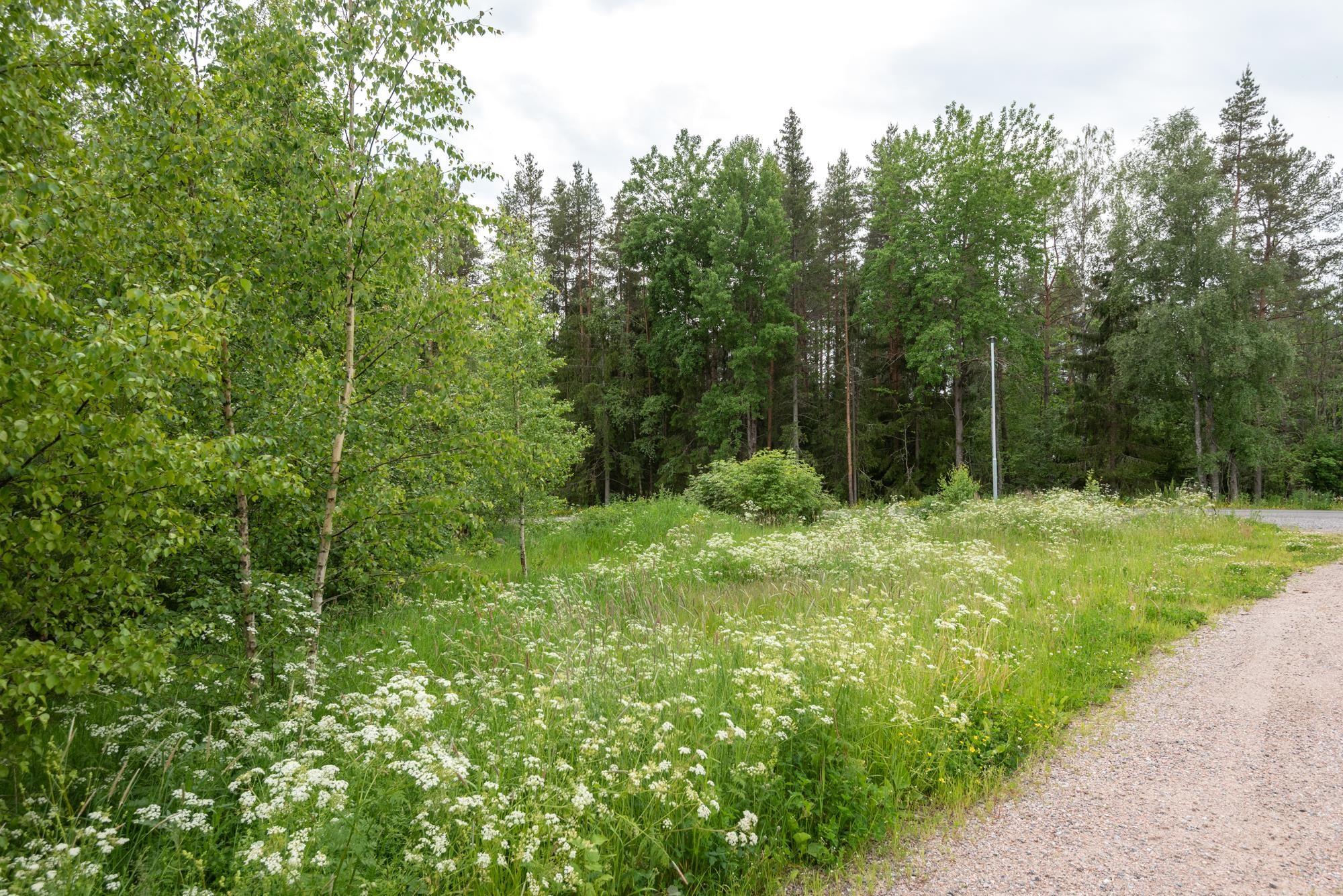 Kohdekuva 5