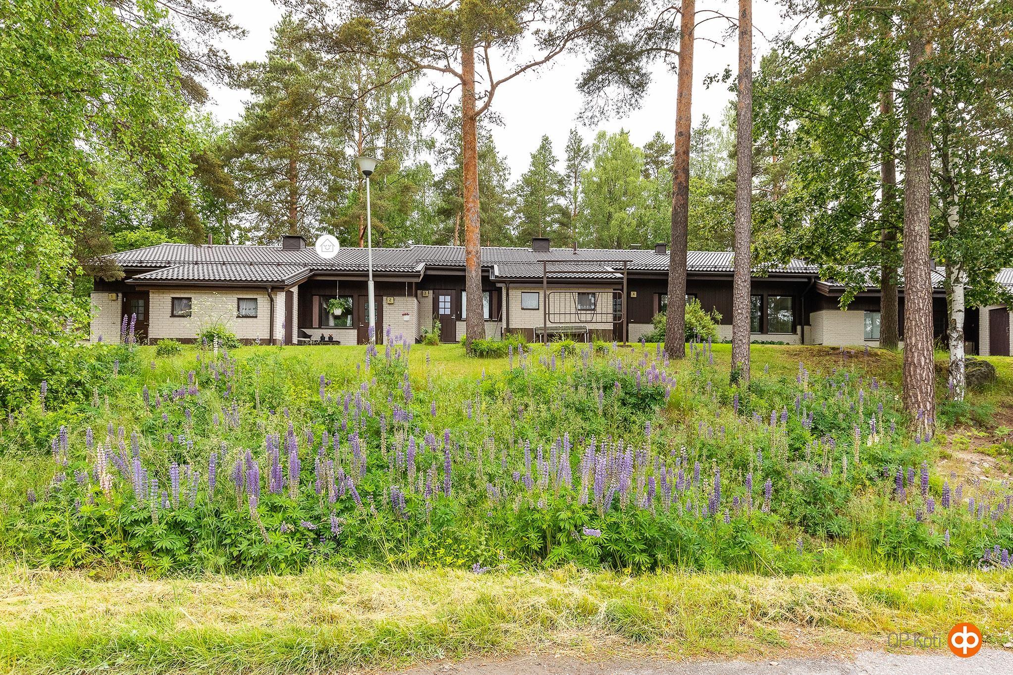 Kohdekuva 2