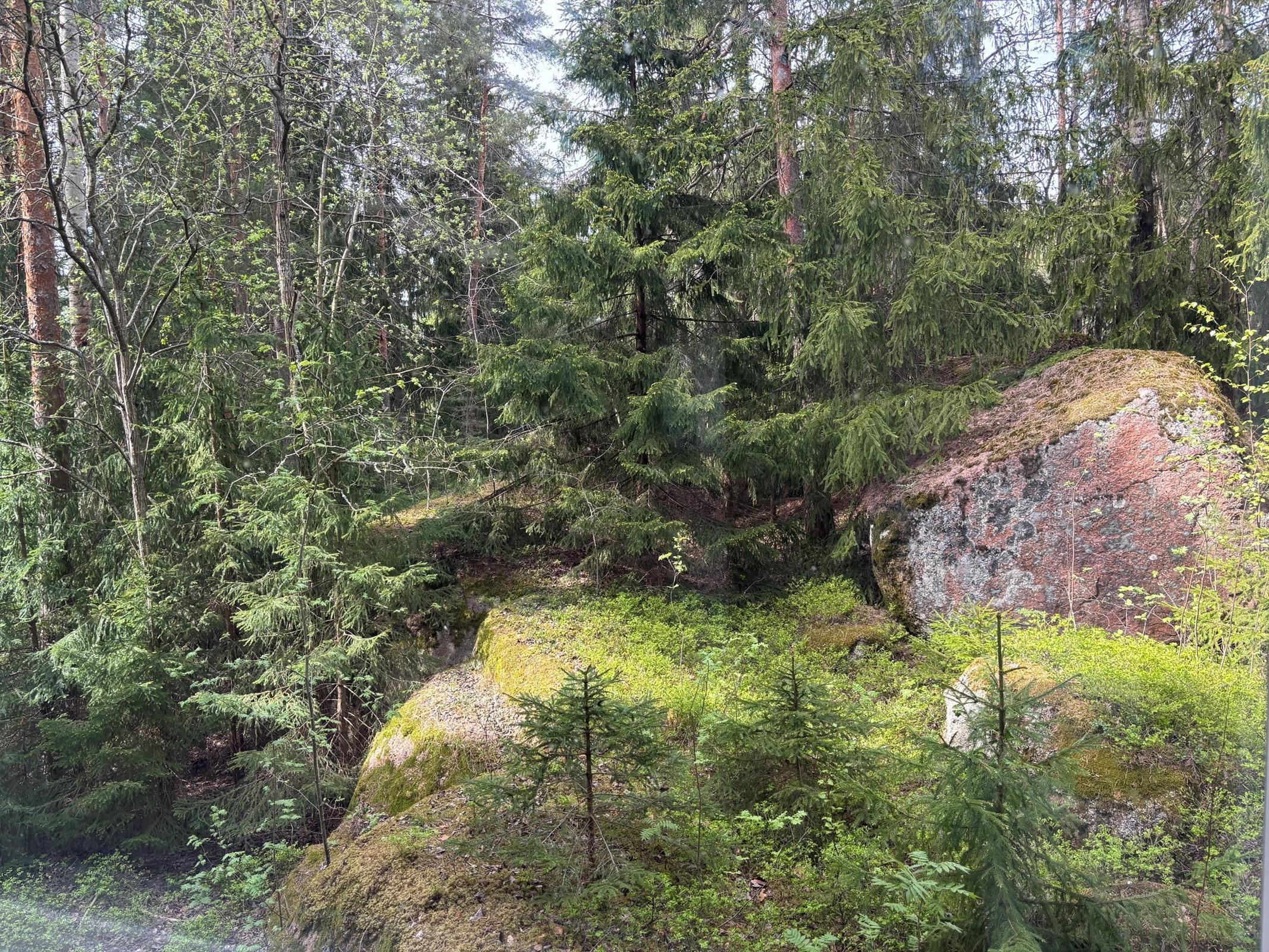 Kohdekuva 9