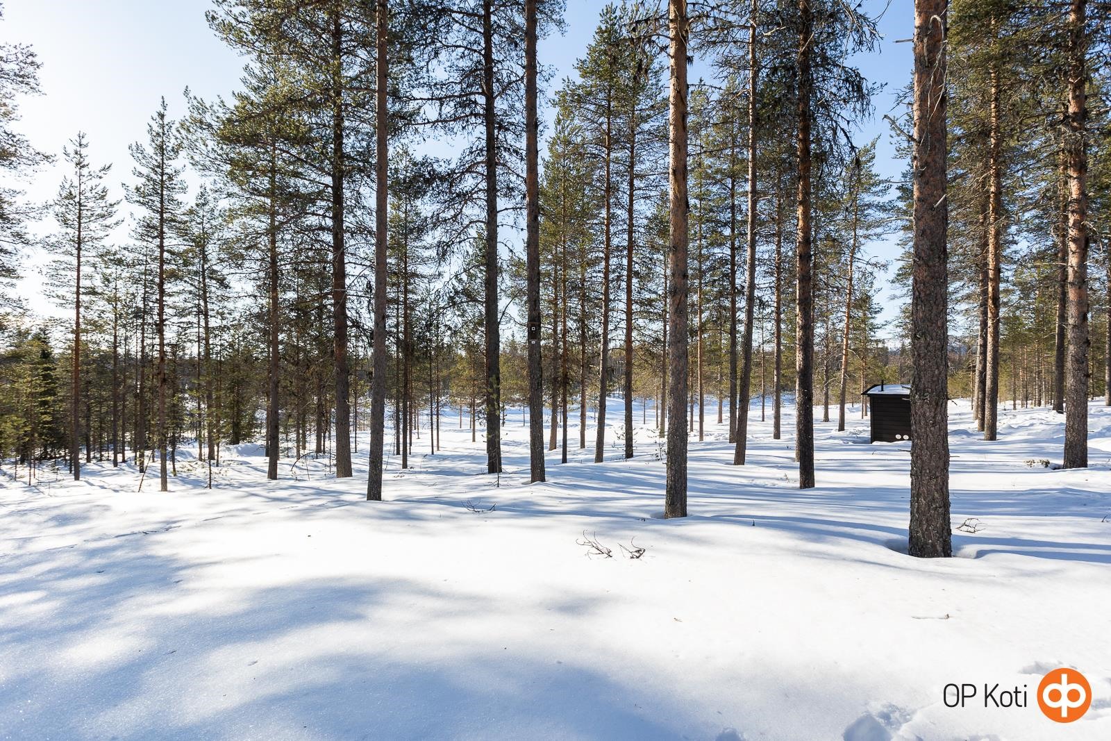 Kohdekuva 46