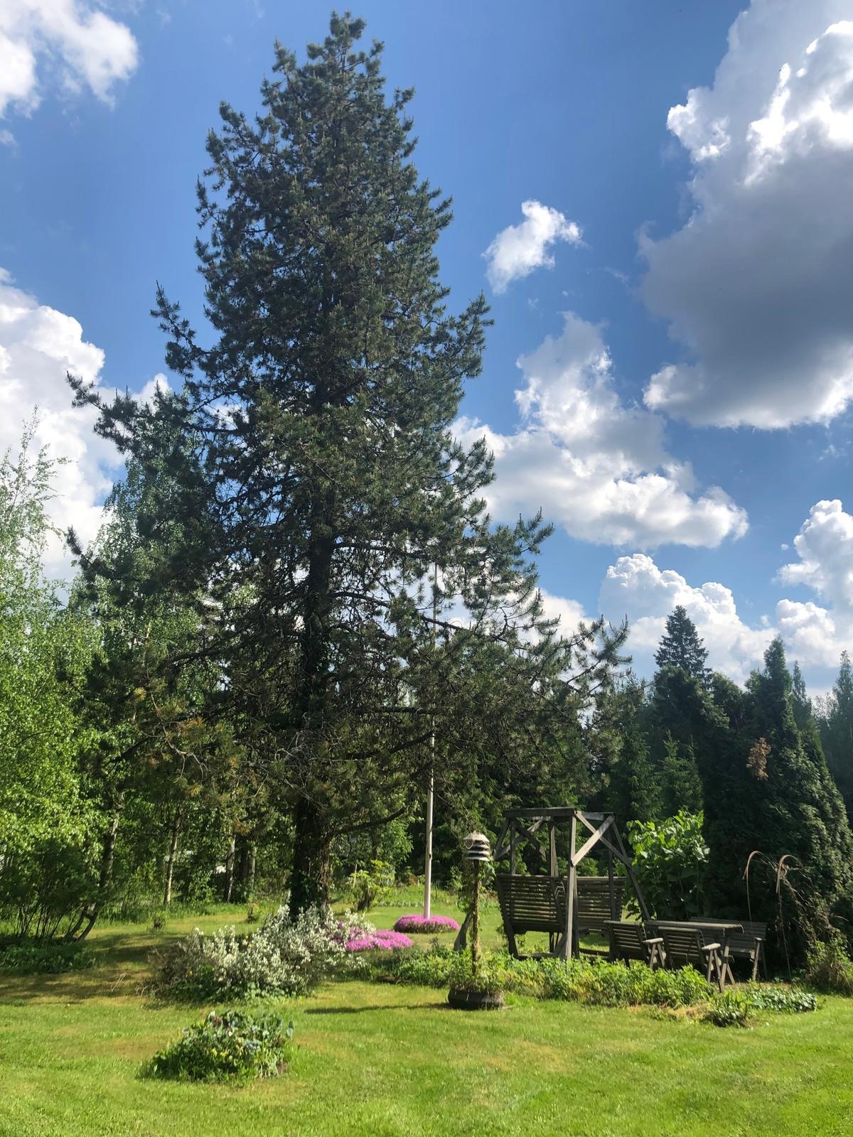 Kohdekuva 41