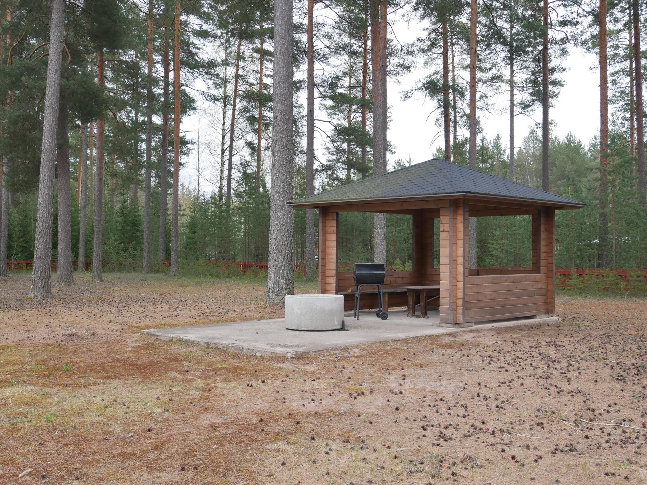 Kohdekuva 12