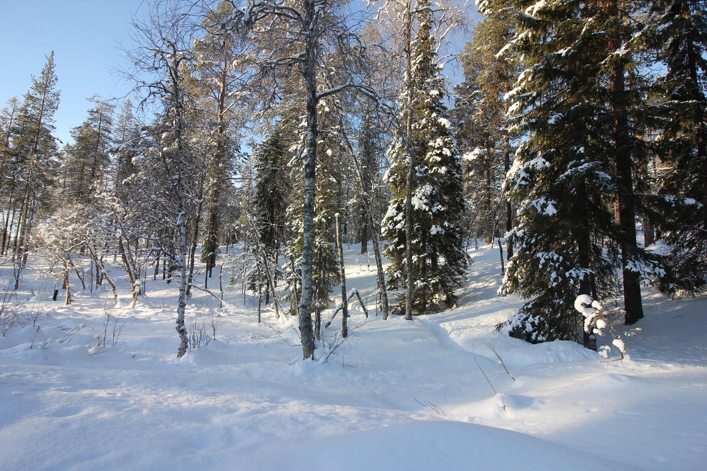 Kohdekuva 3