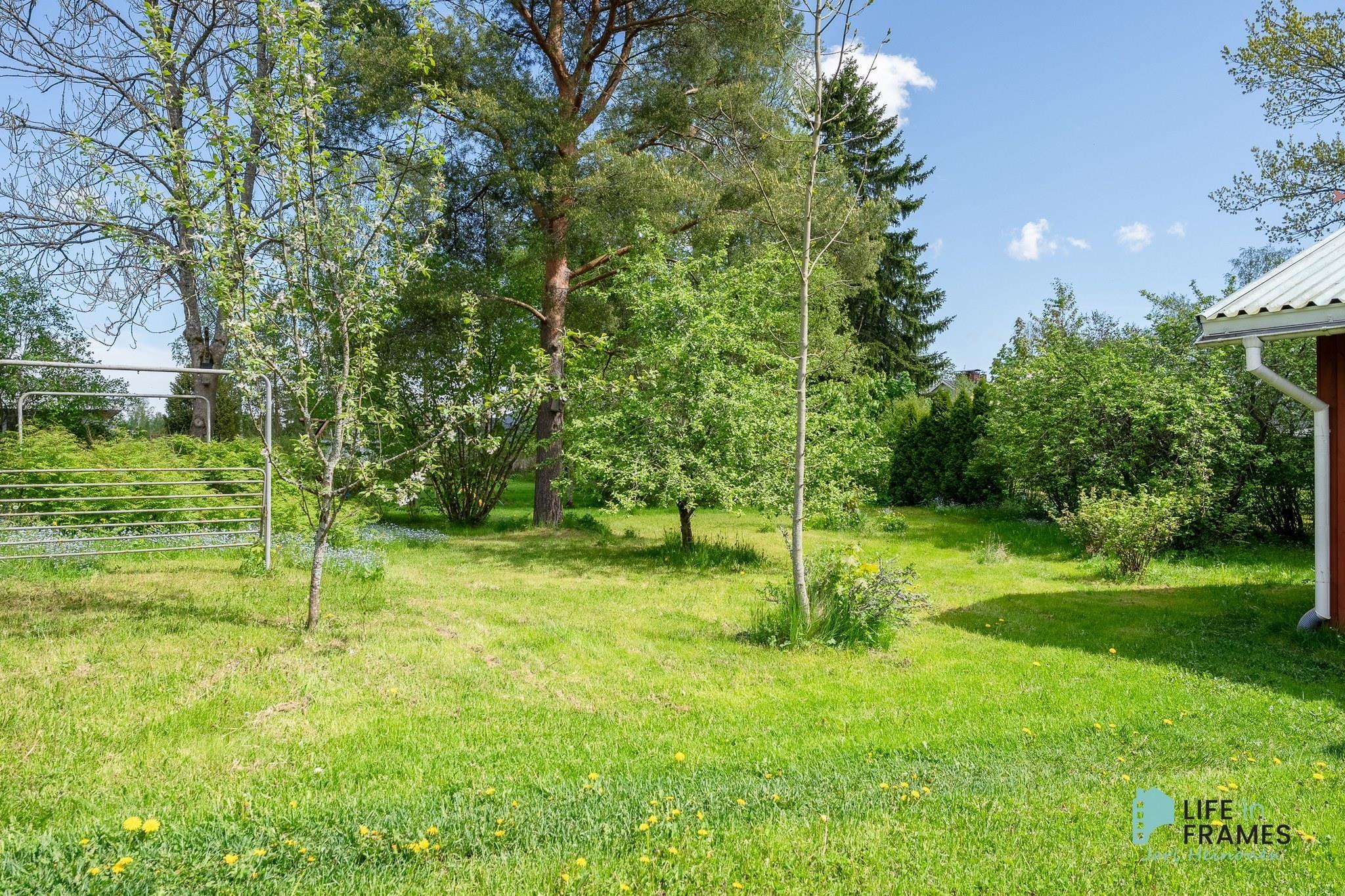 Kohdekuva 21
