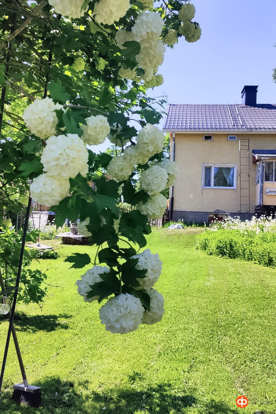 Myyjän aiemmin ottama kuva