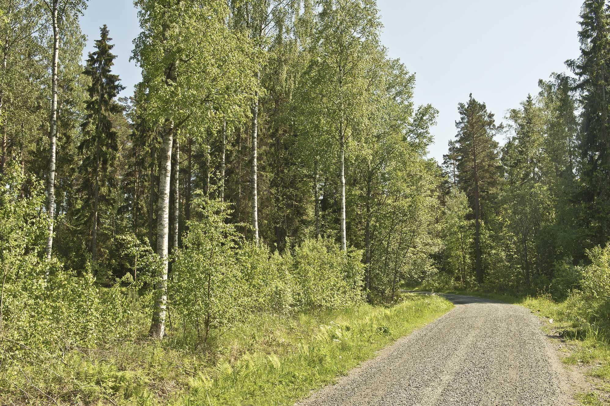 Kohdekuva 15