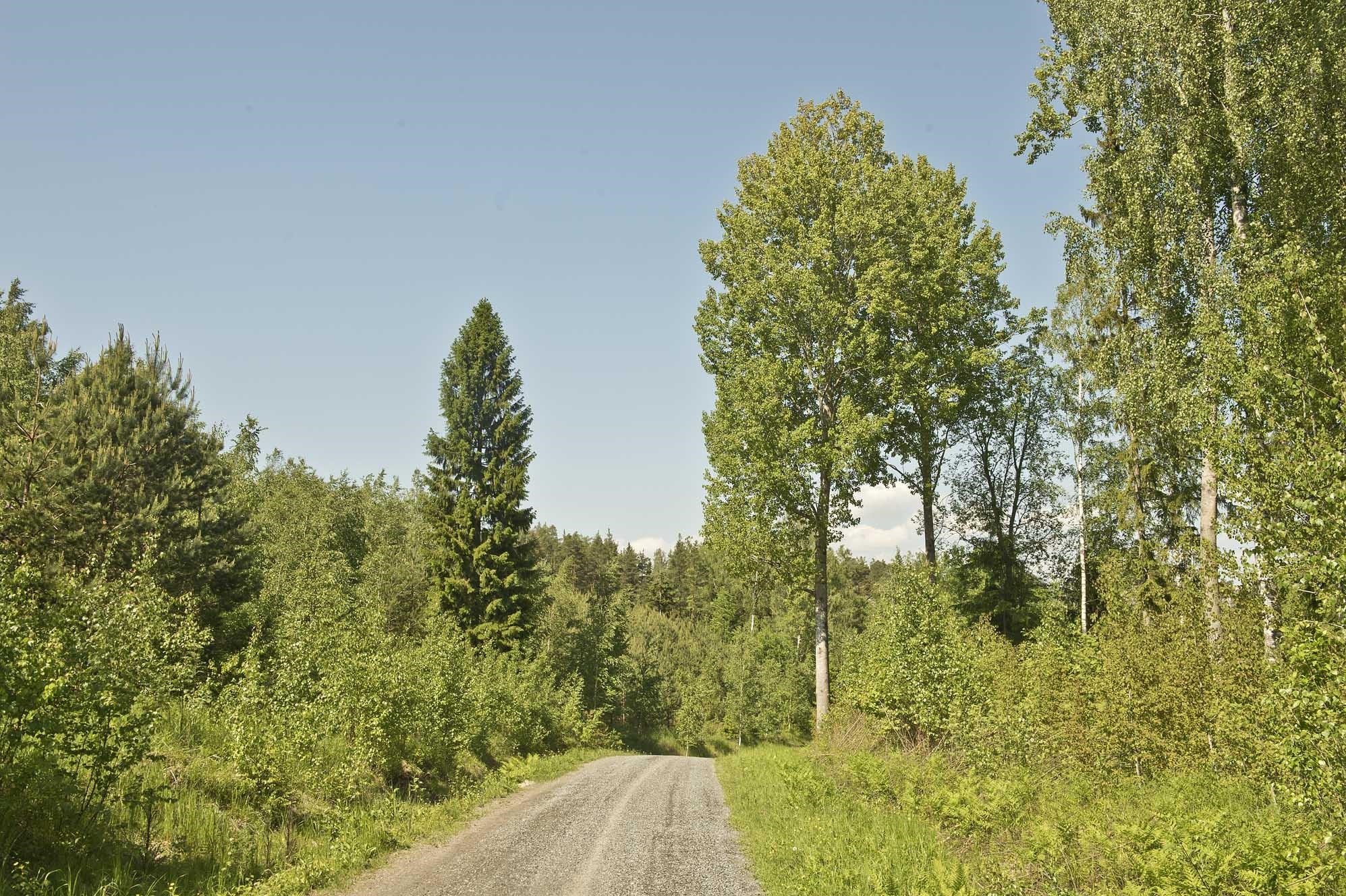 Kohdekuva 16