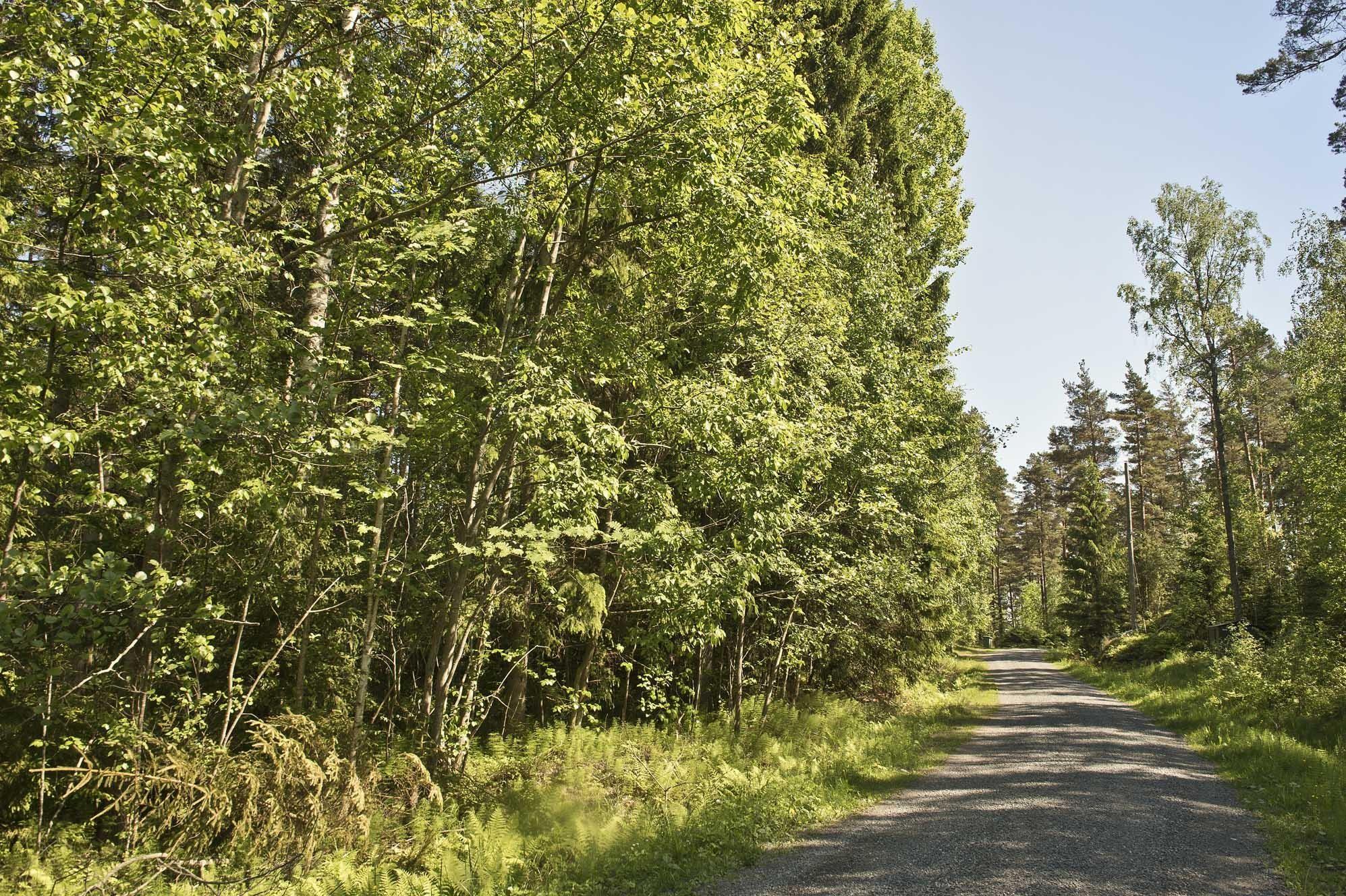 Kohdekuva 17