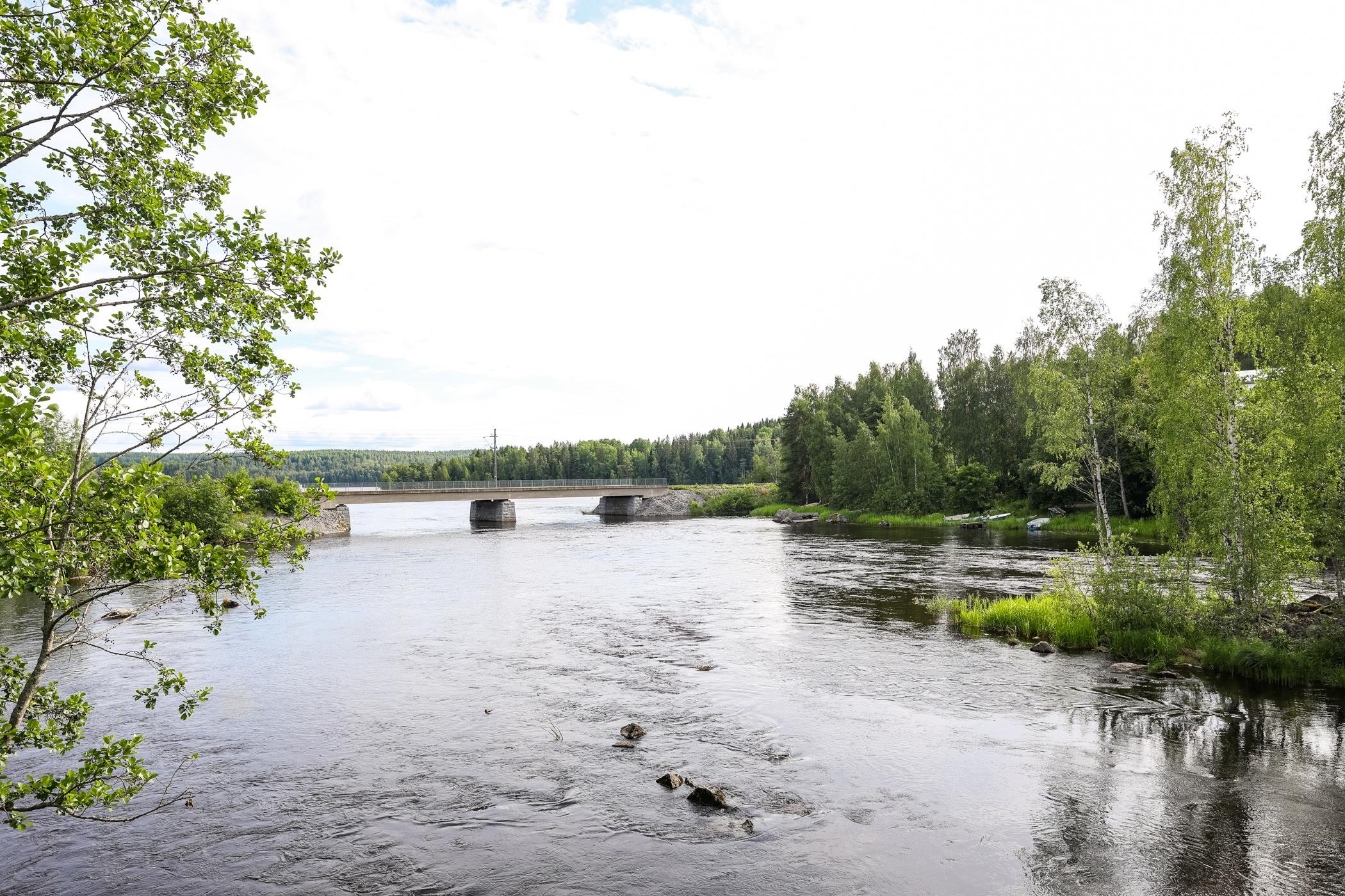 Kohdekuva 35