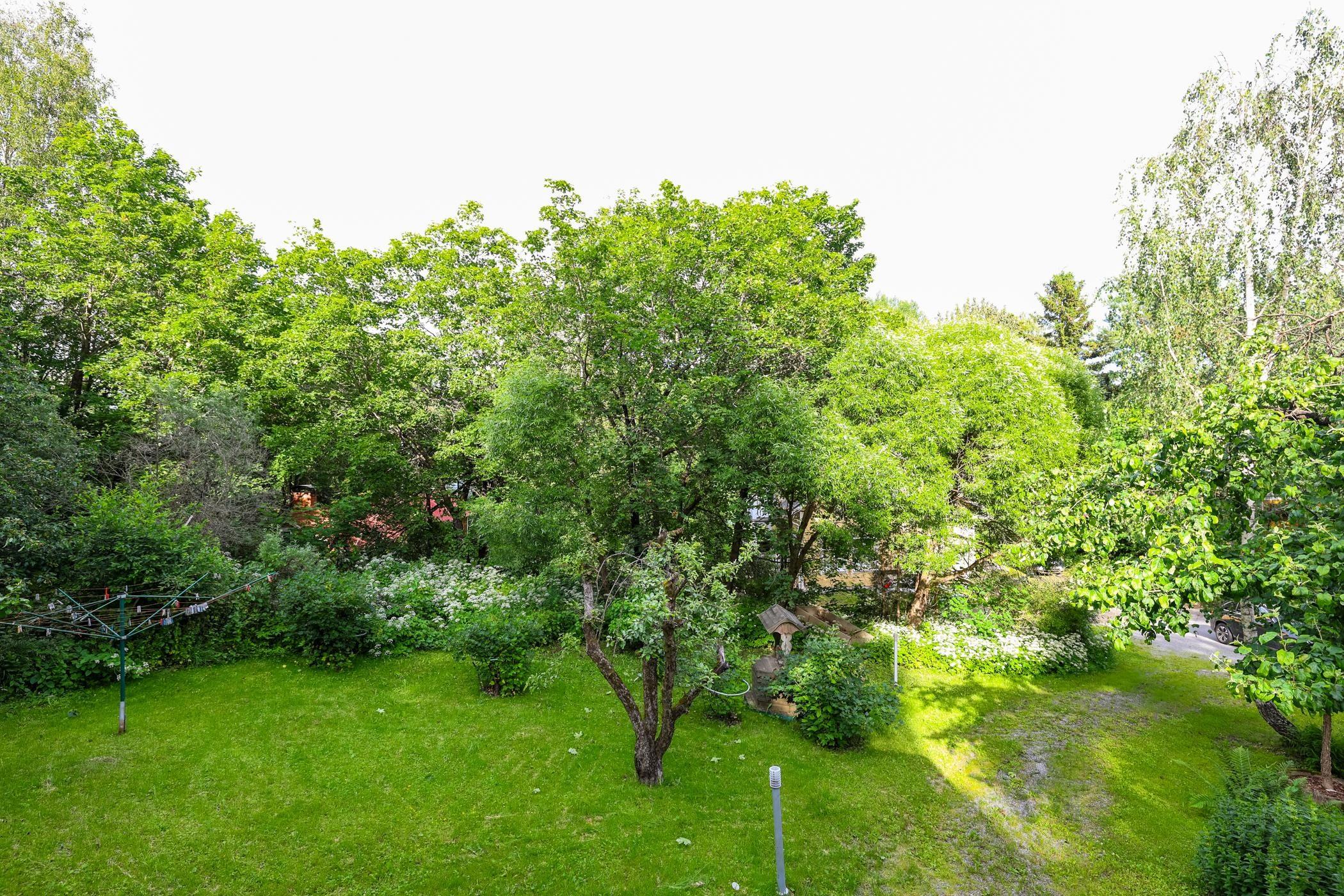 Kohdekuva 25