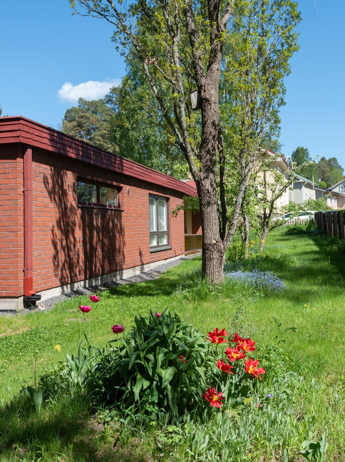 Kohdekuva 6