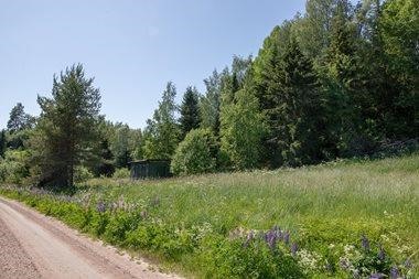 Kohdekuva 4