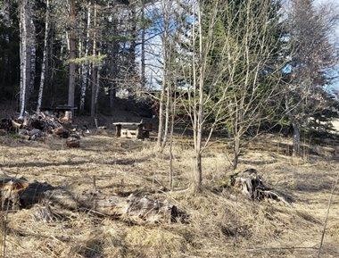 Kohdekuva 5