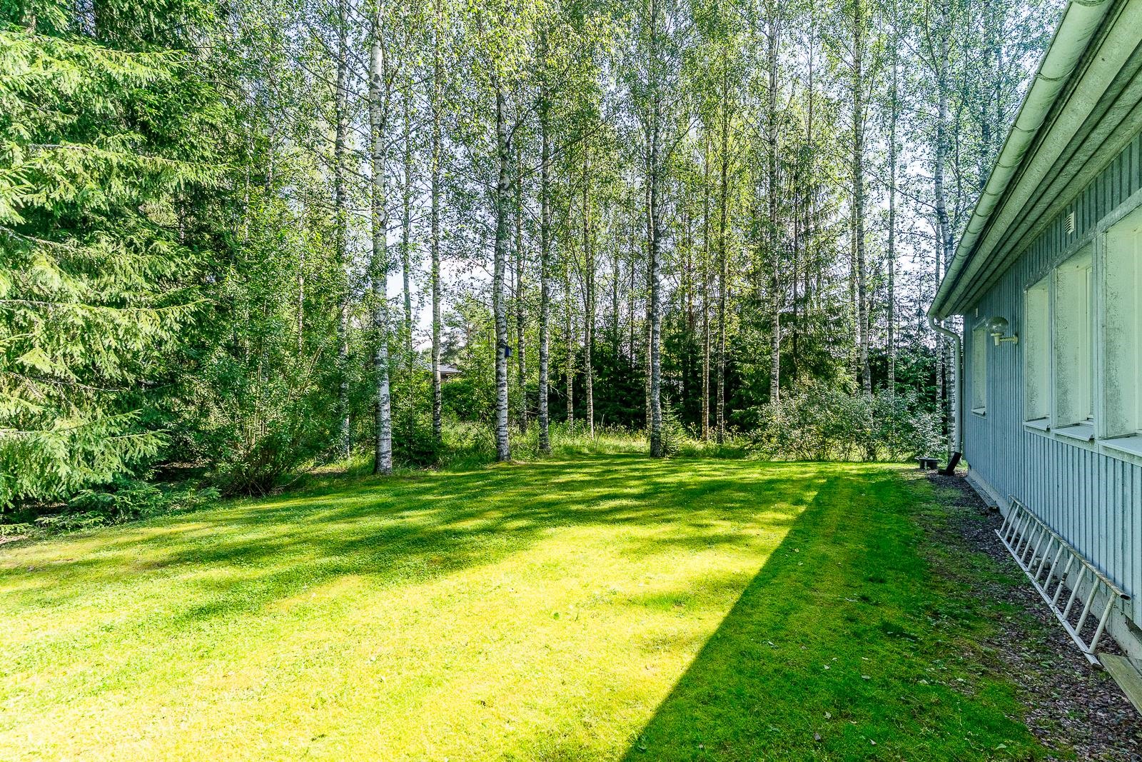 Kohdekuva 29