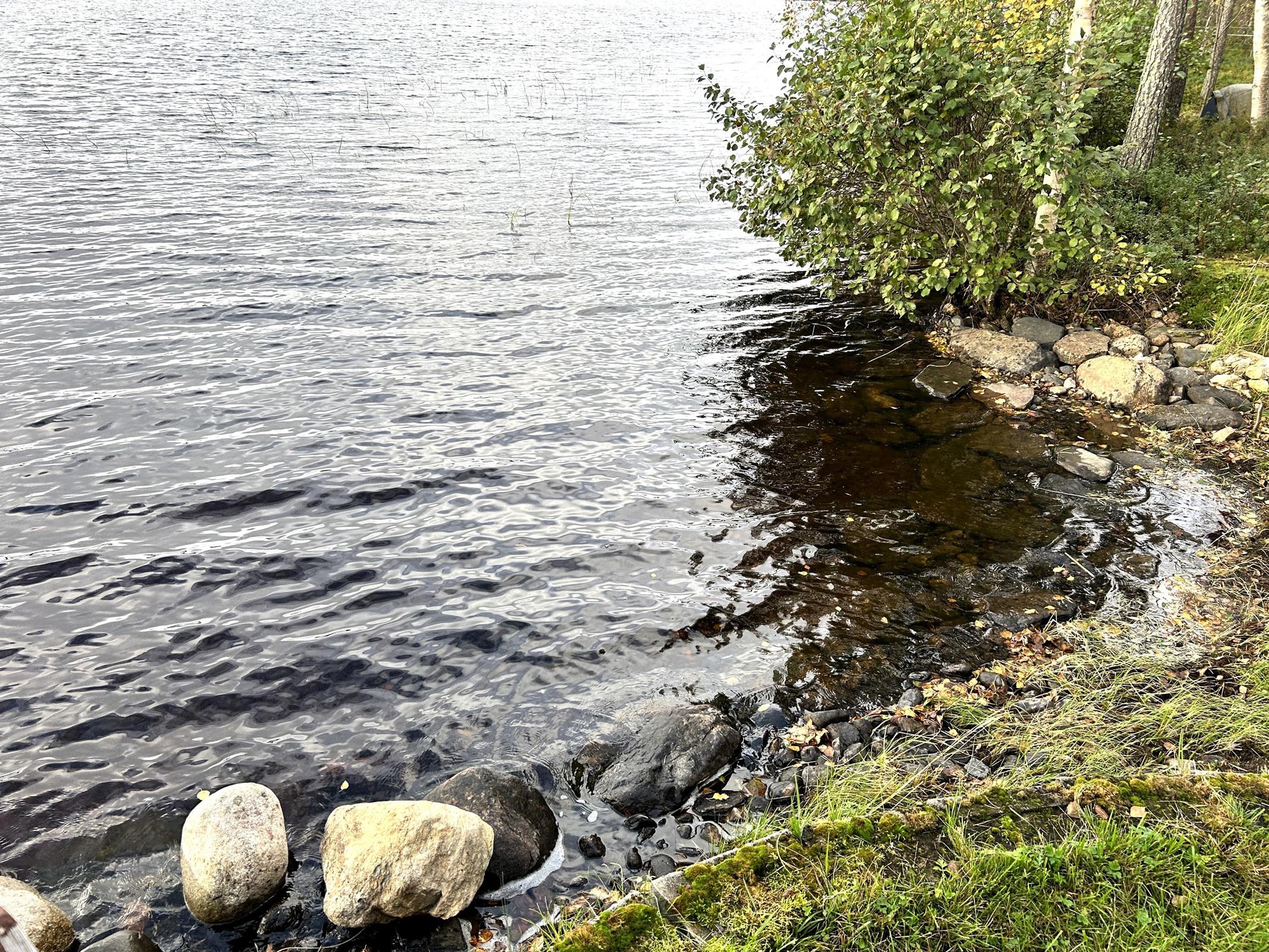 Kohdekuva 24