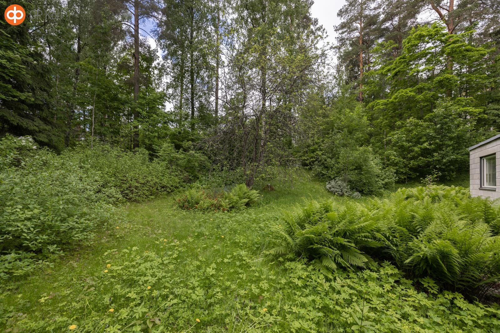 Kohdekuva 13