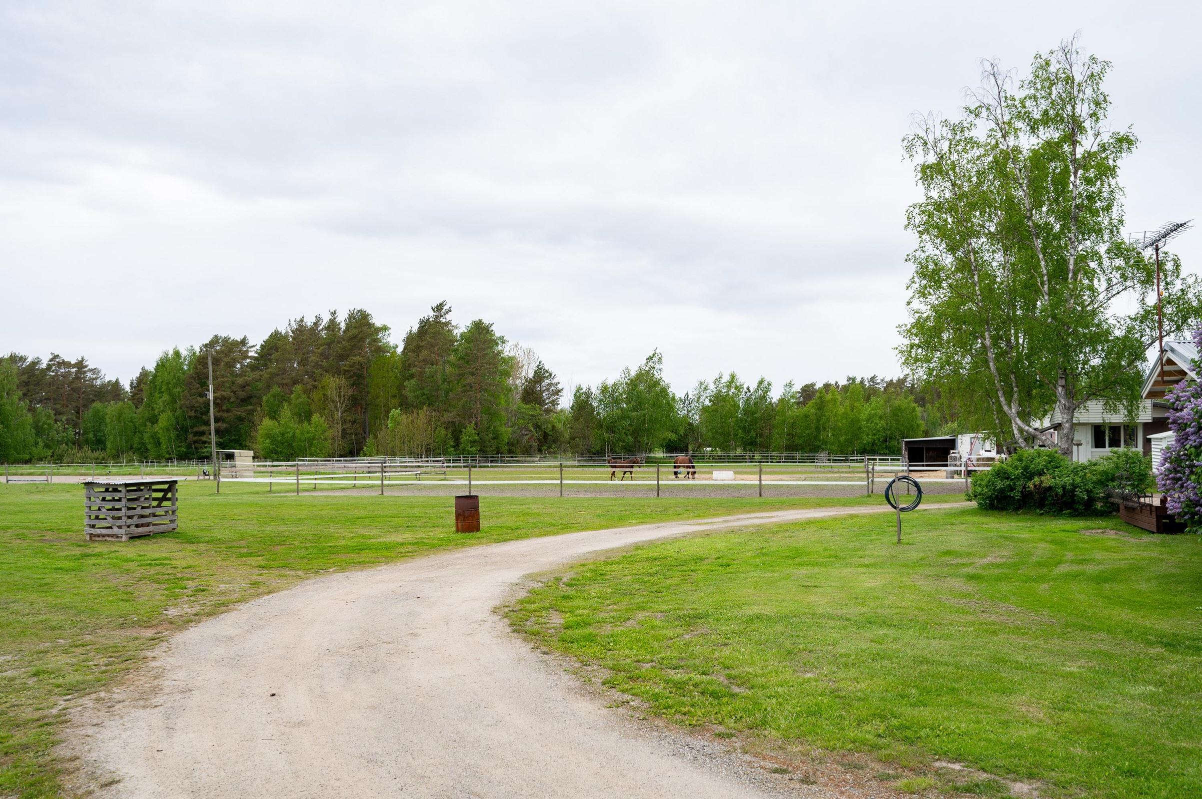 Kohdekuva 55
