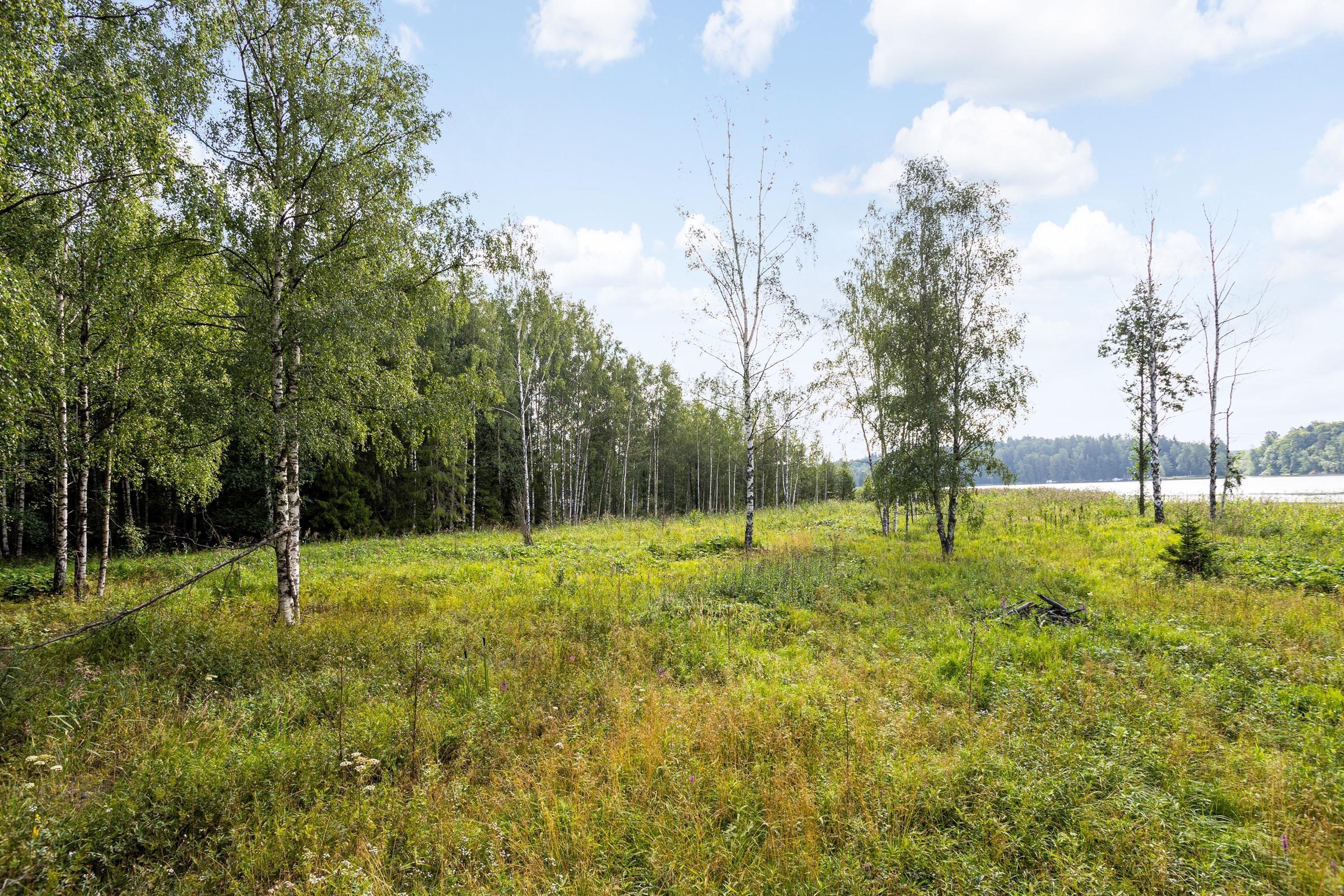 Kohdekuva 5