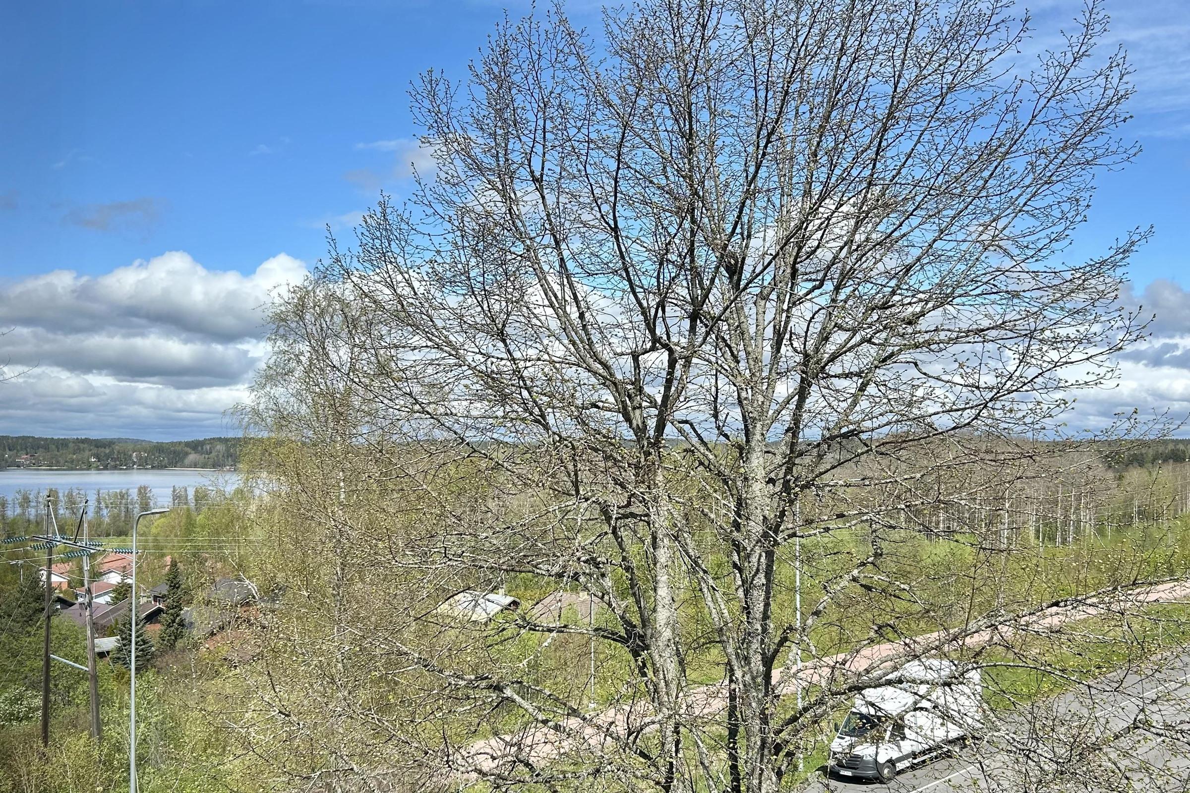 Kohdekuva 20