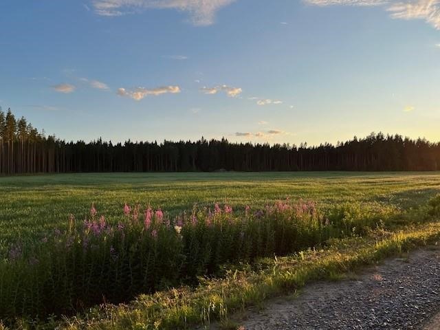 Kohdekuva 42