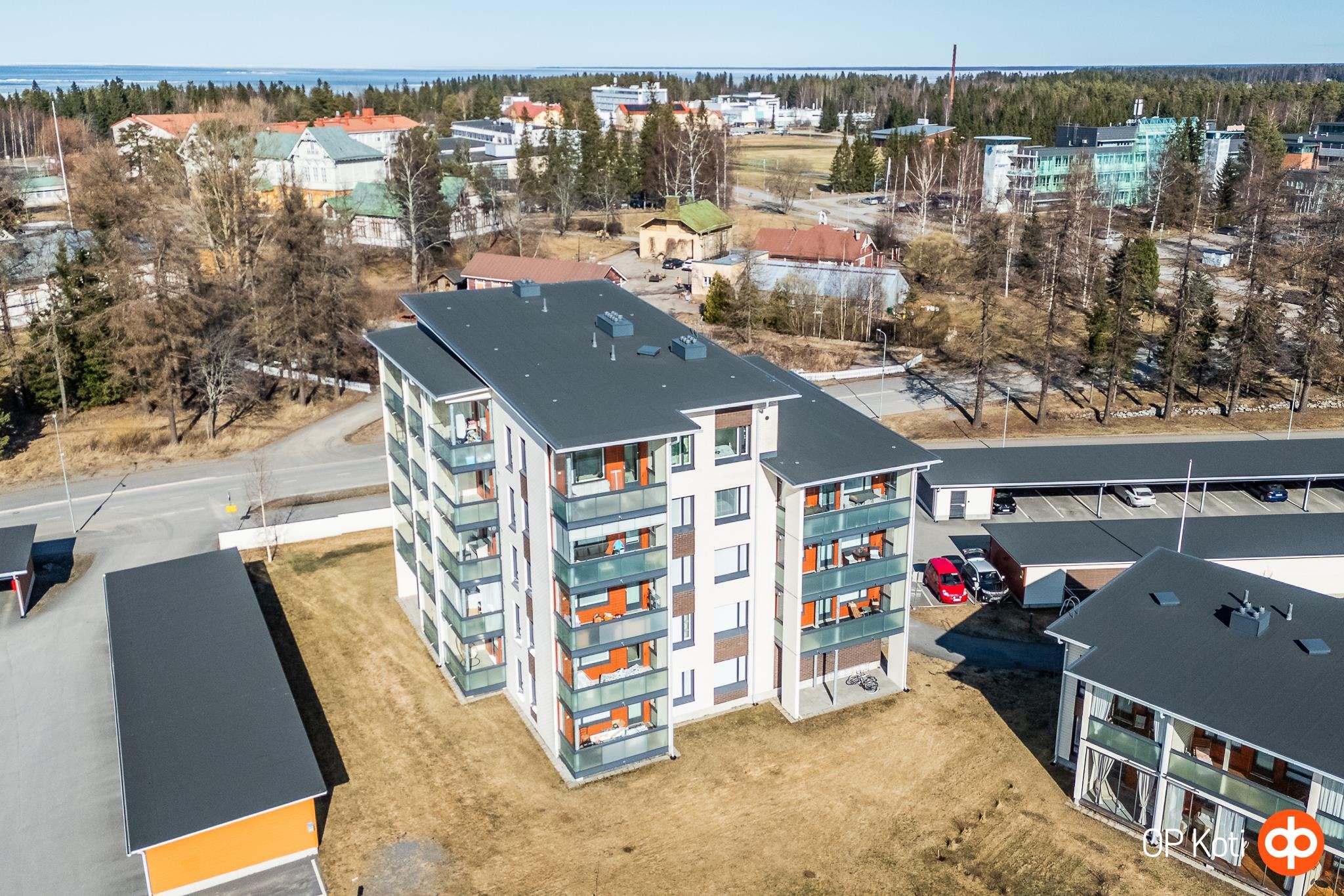 Kohdekuva 19