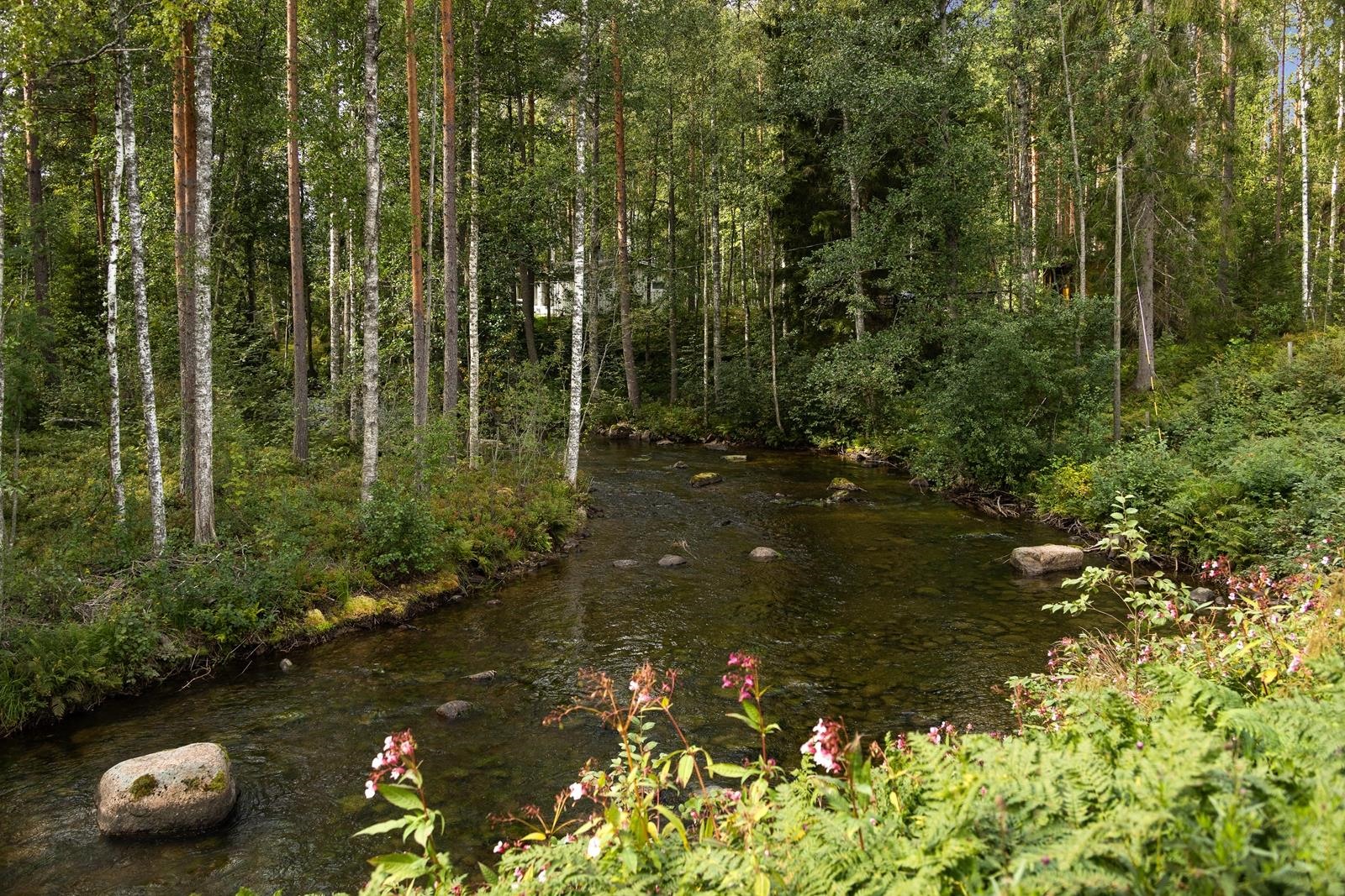 Kohdekuva 17