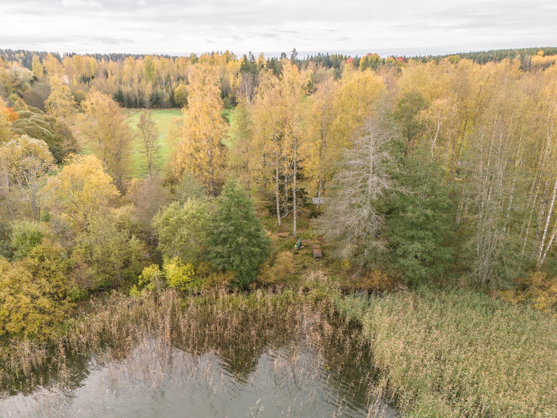 Kohdekuva 31