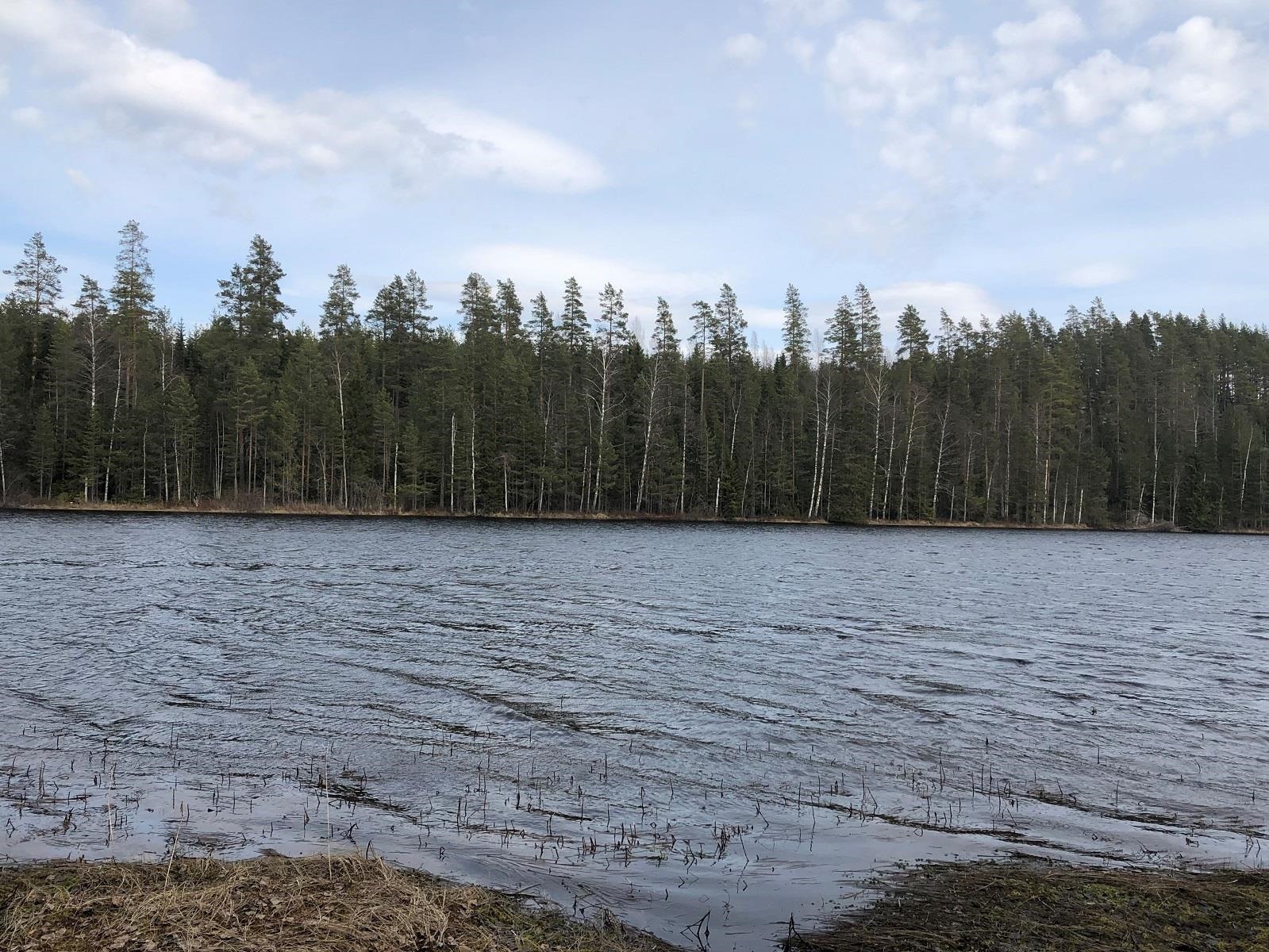 Kohdekuva 3