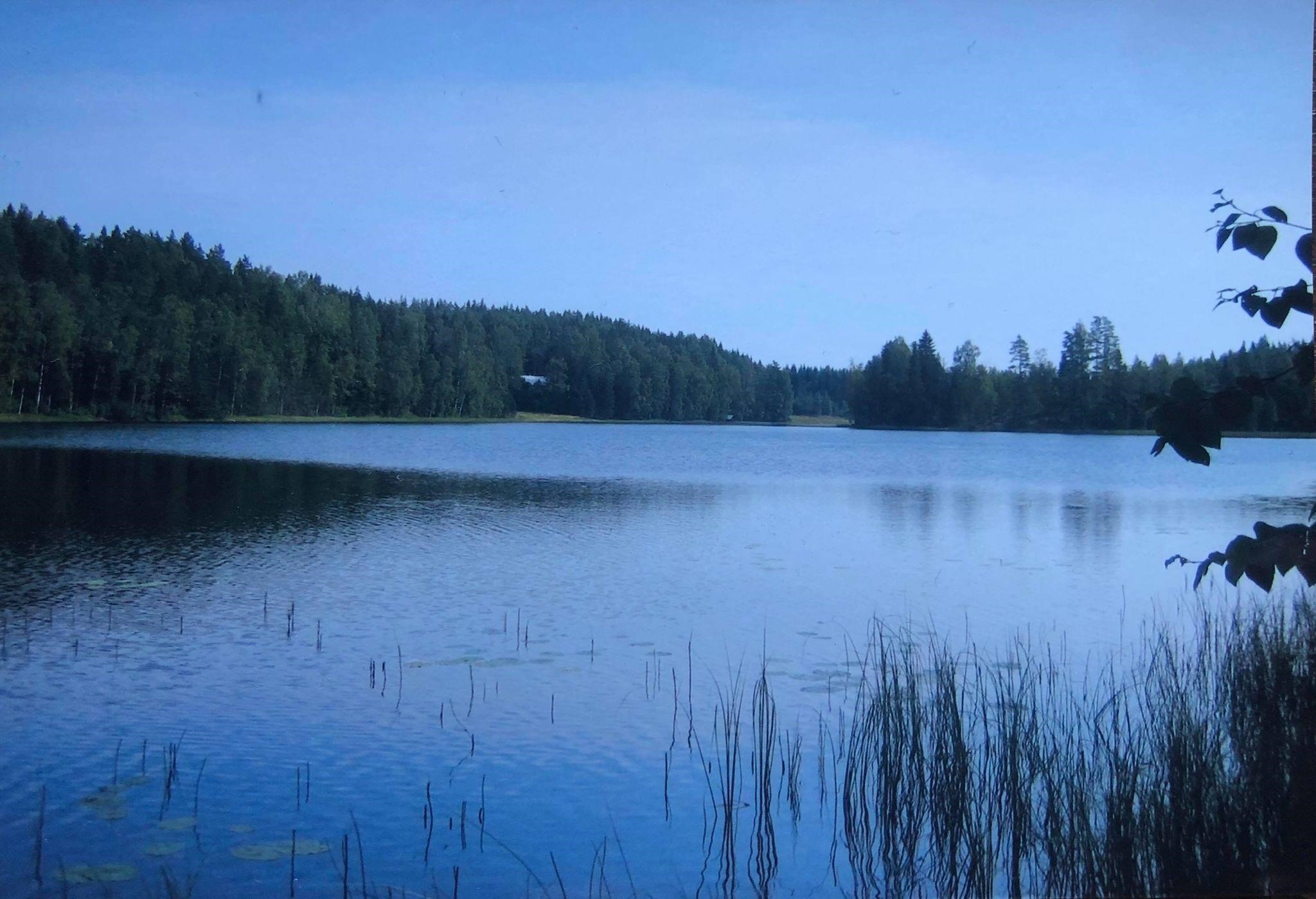 Kohdekuva 1