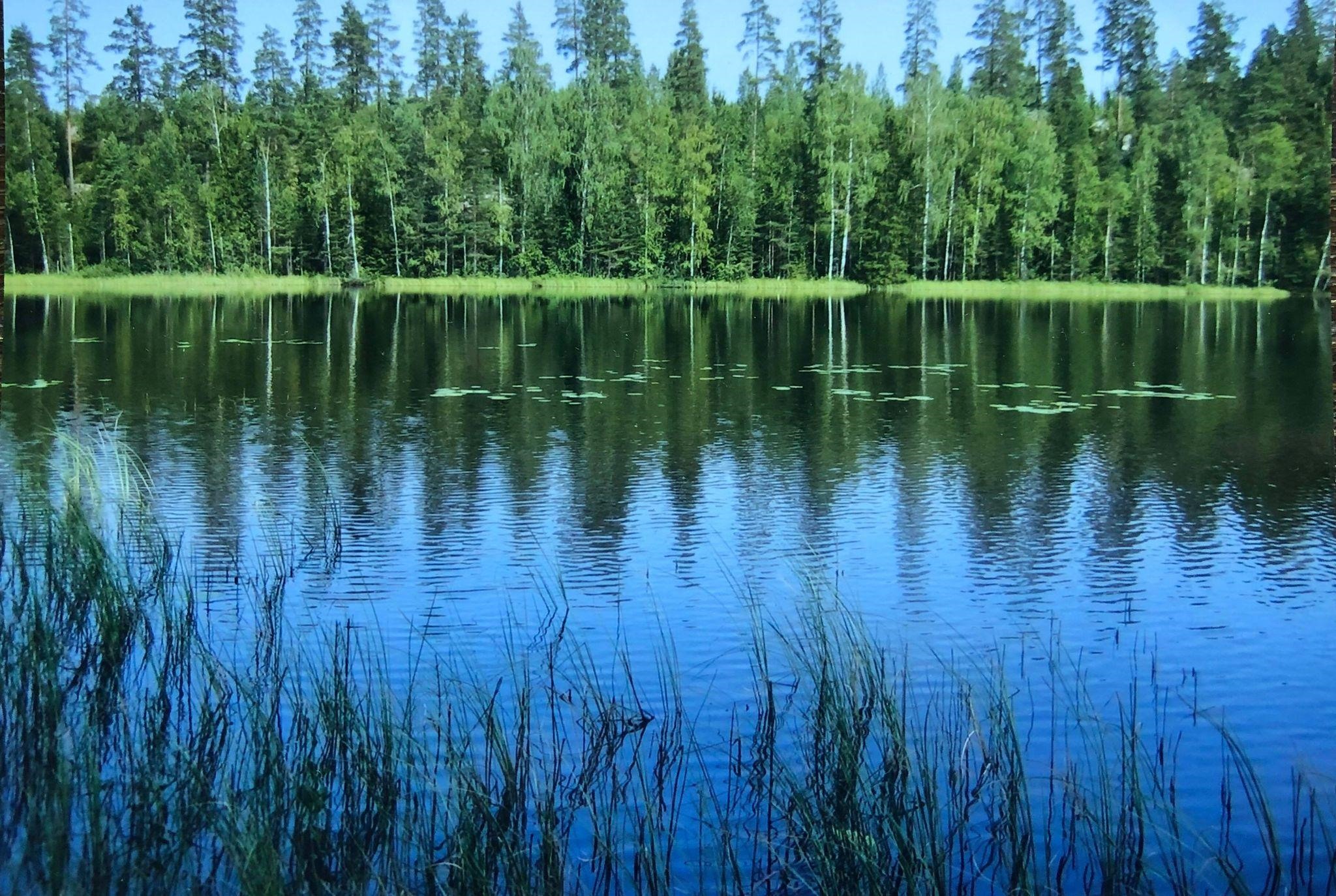 Kohdekuva 2
