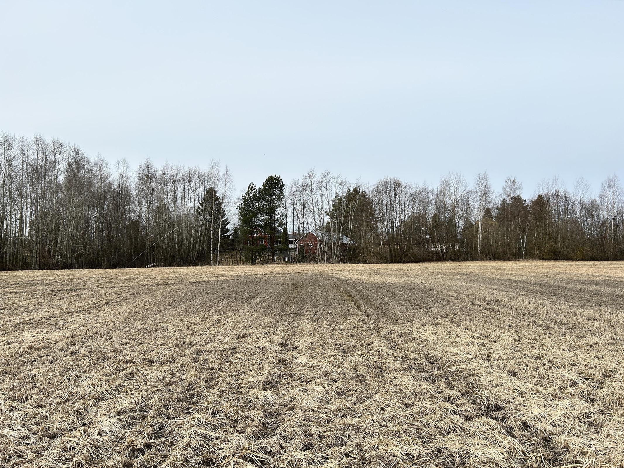 Kohdekuva 2