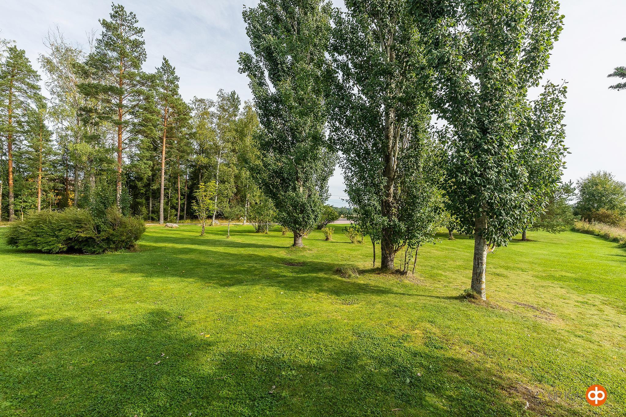 Kohdekuva 75