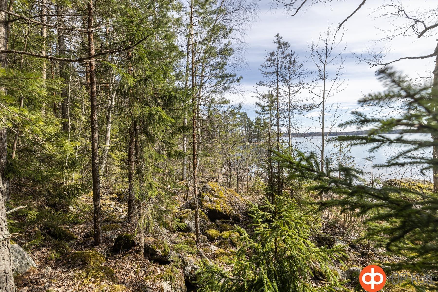 Kohdekuva 13