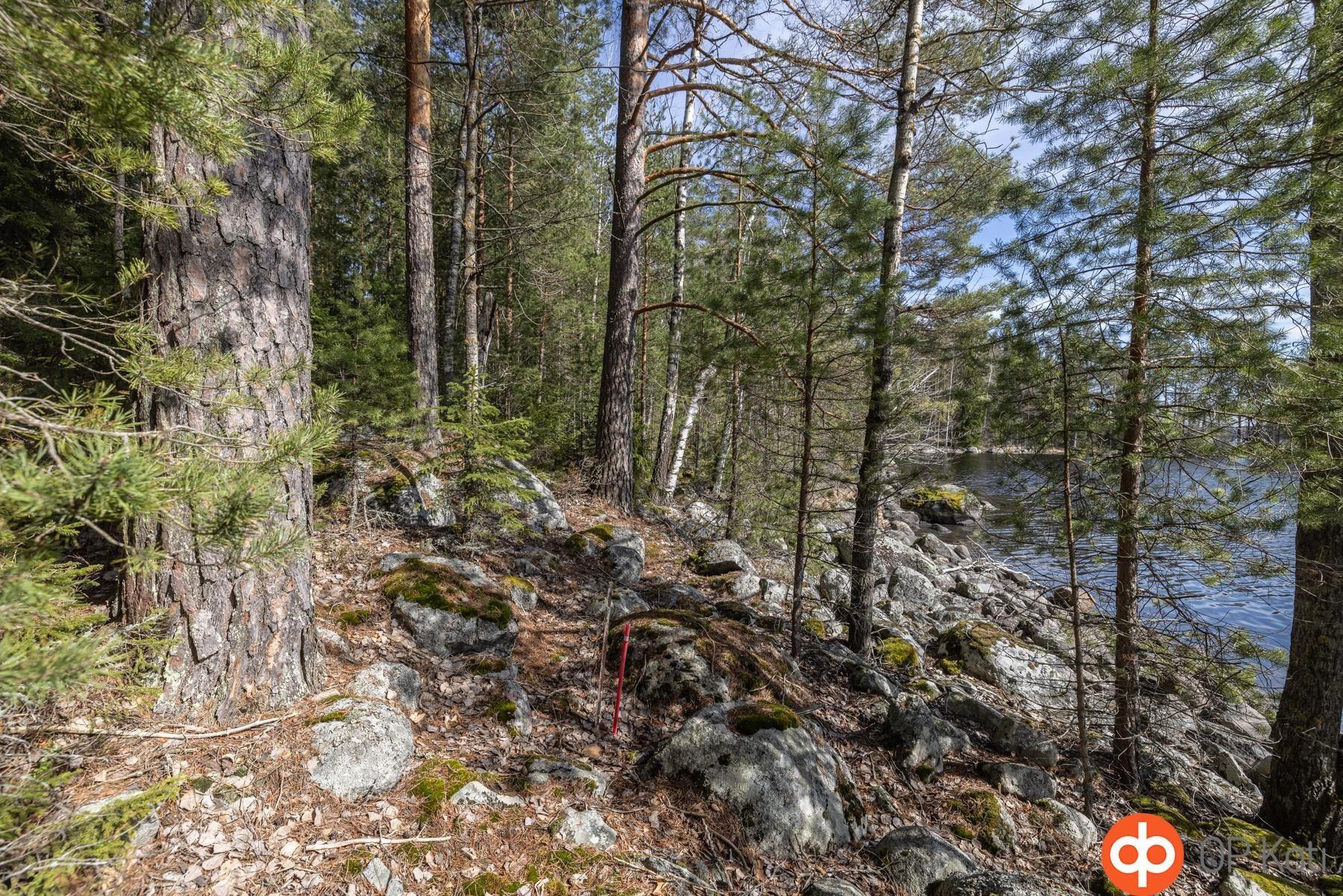 Kohdekuva 12