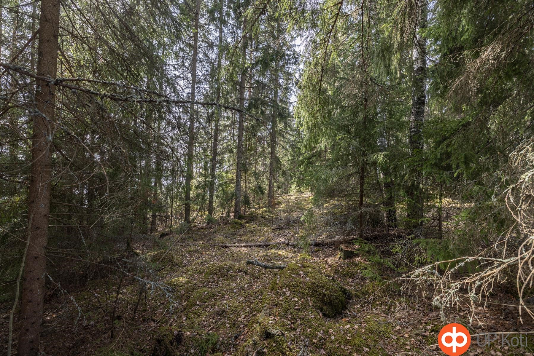 Kohdekuva 15