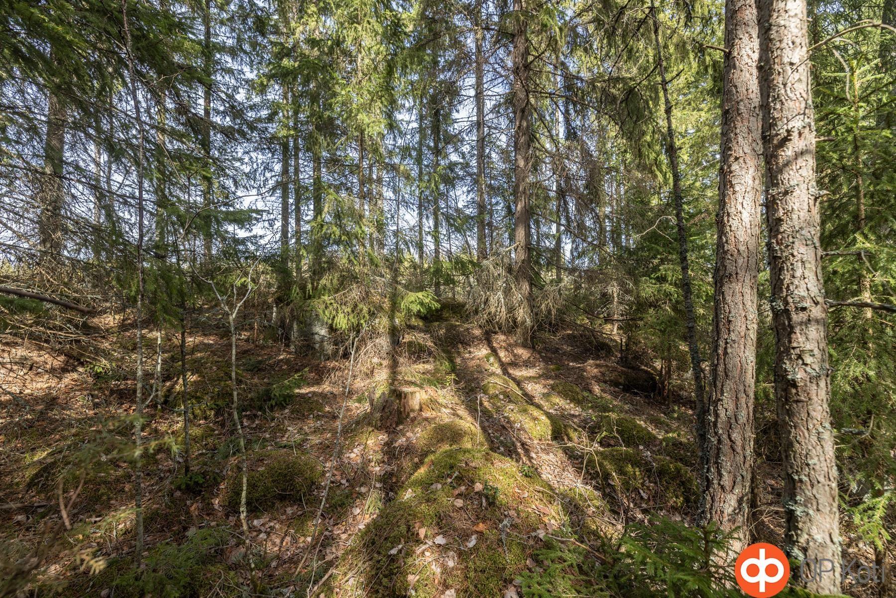 Kohdekuva 14