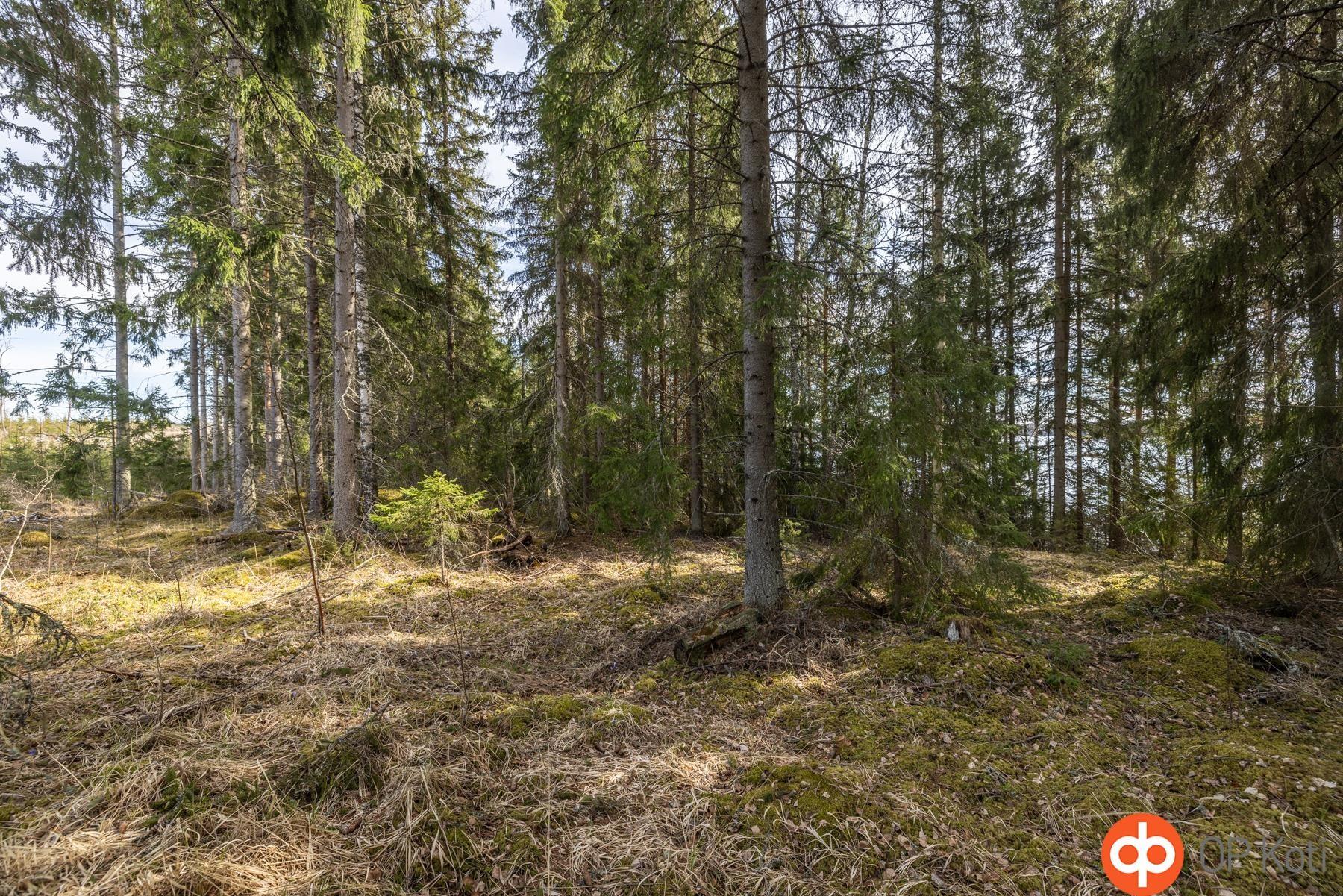 Kohdekuva 17