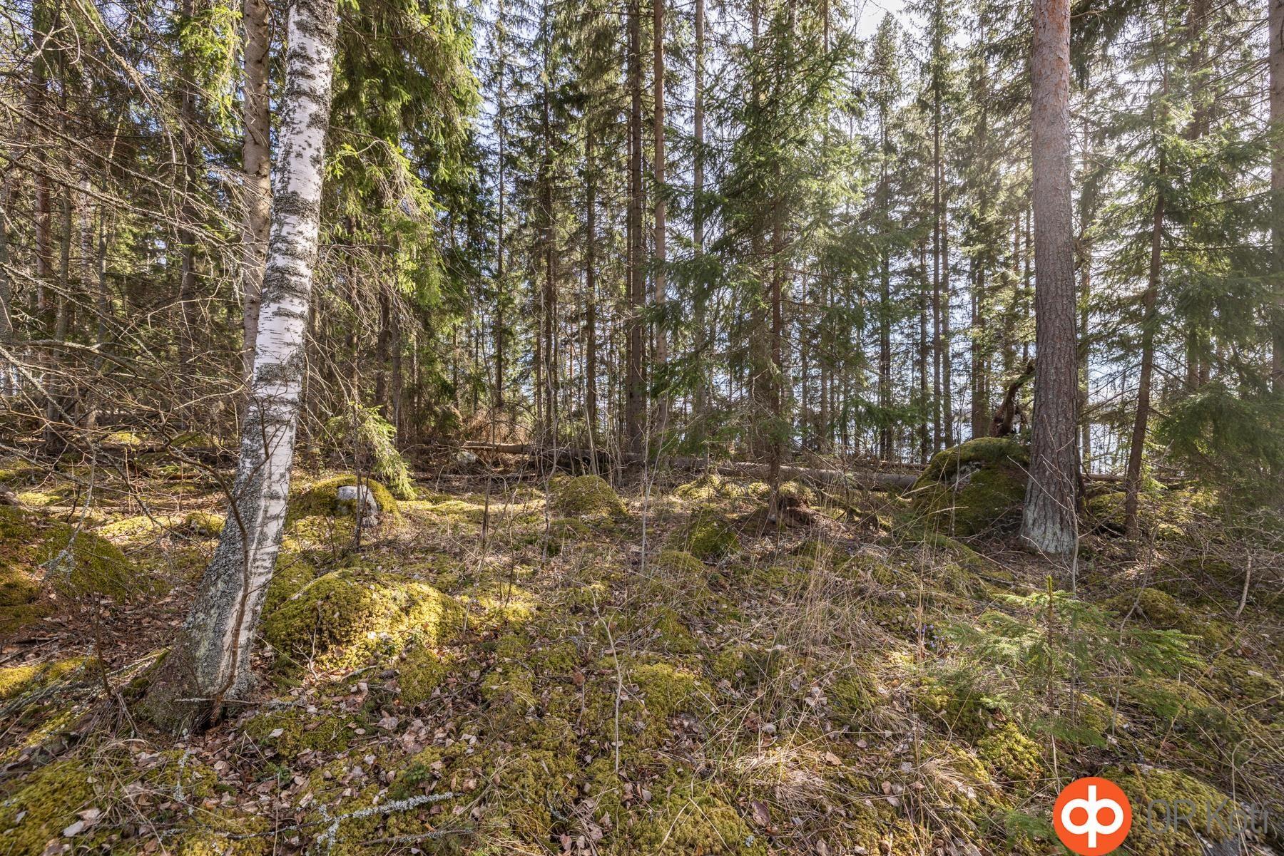 Kohdekuva 9