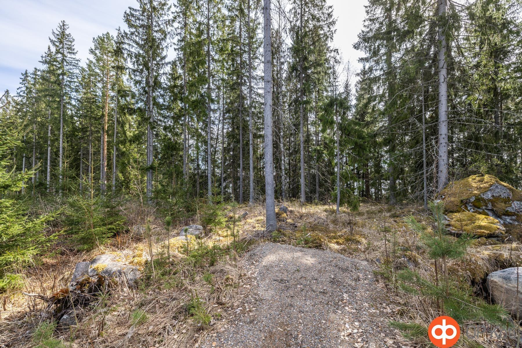 Kohdekuva 18