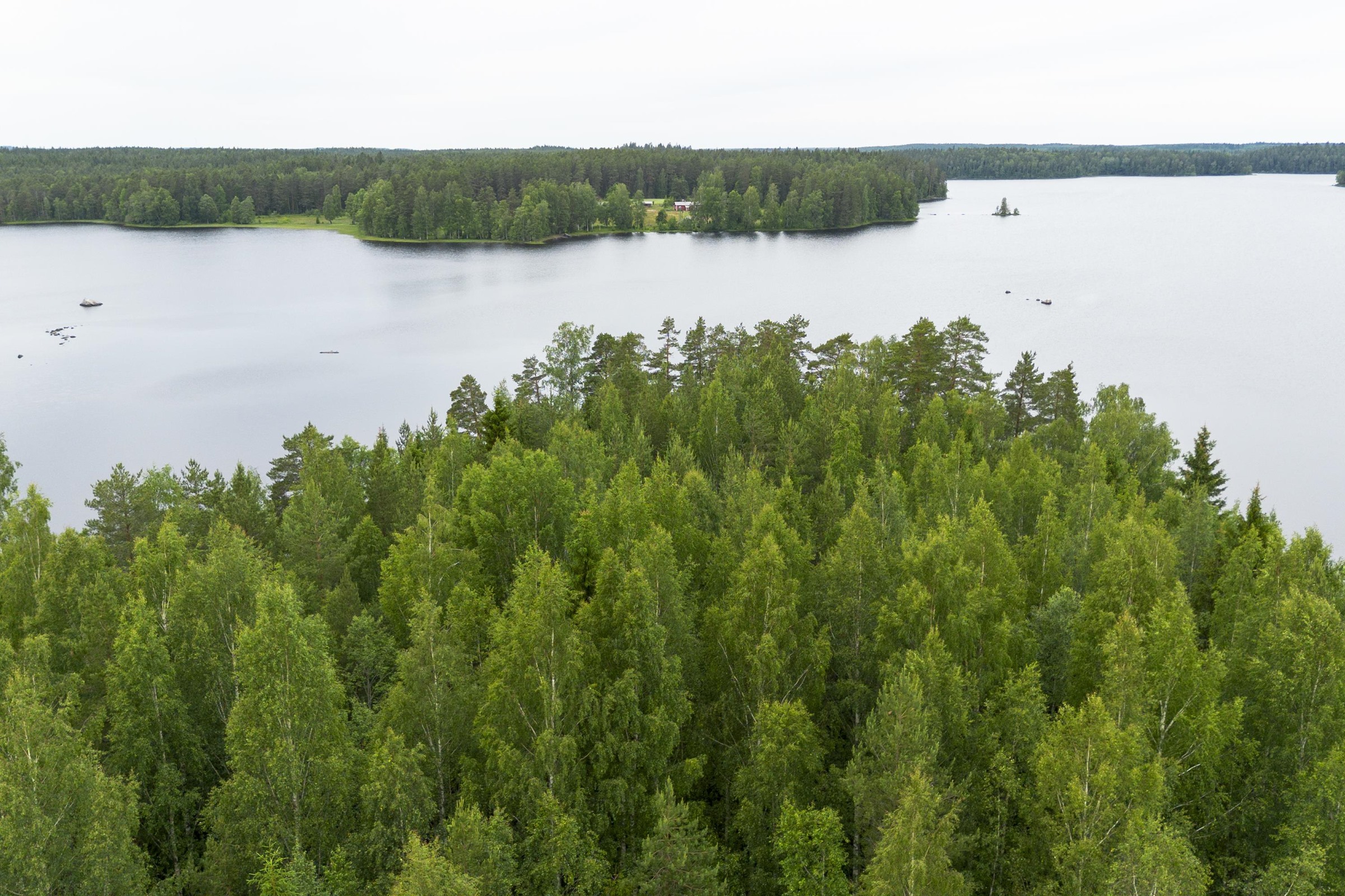 Kohdekuva 39