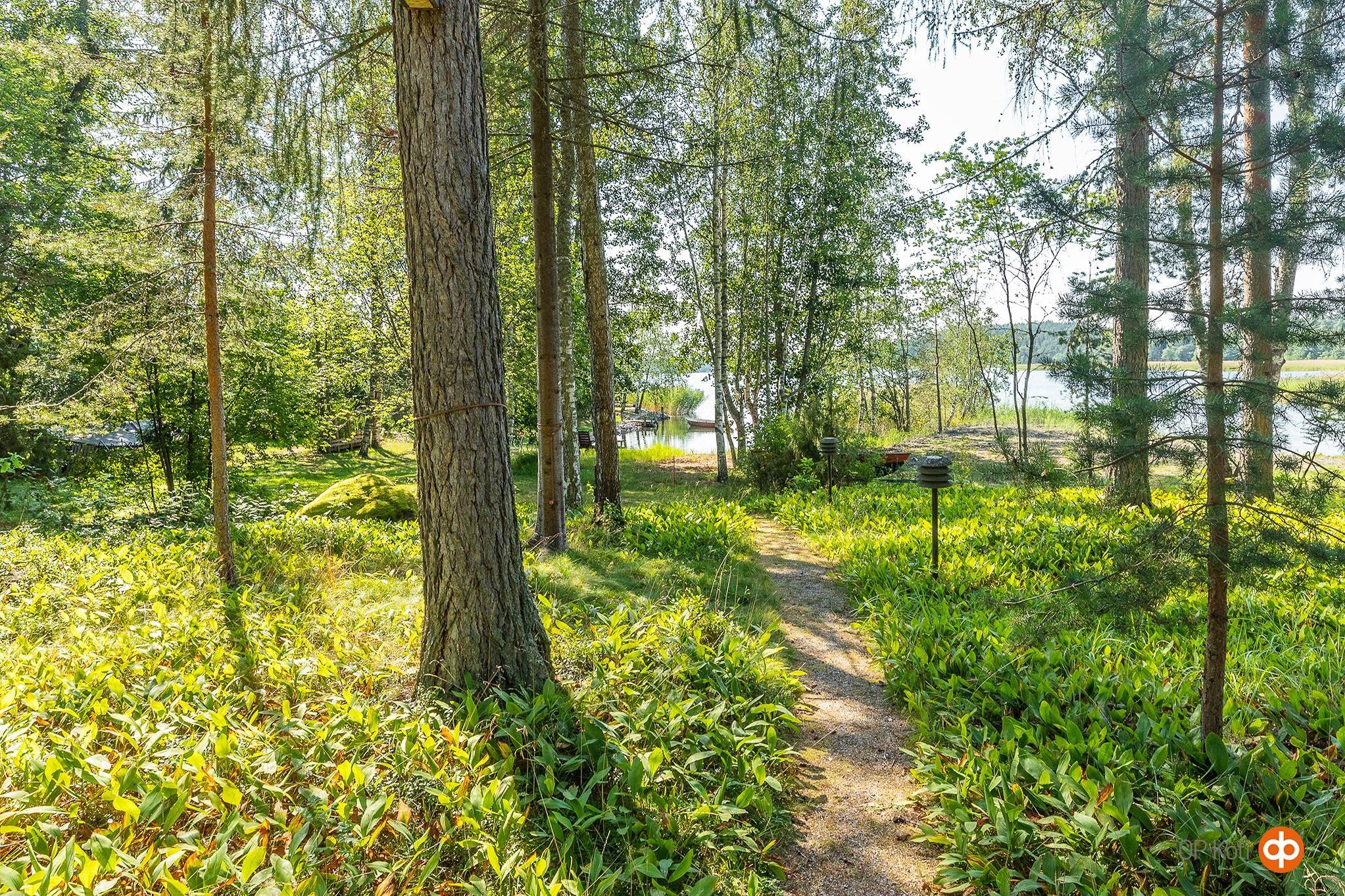 Kohdekuva 29