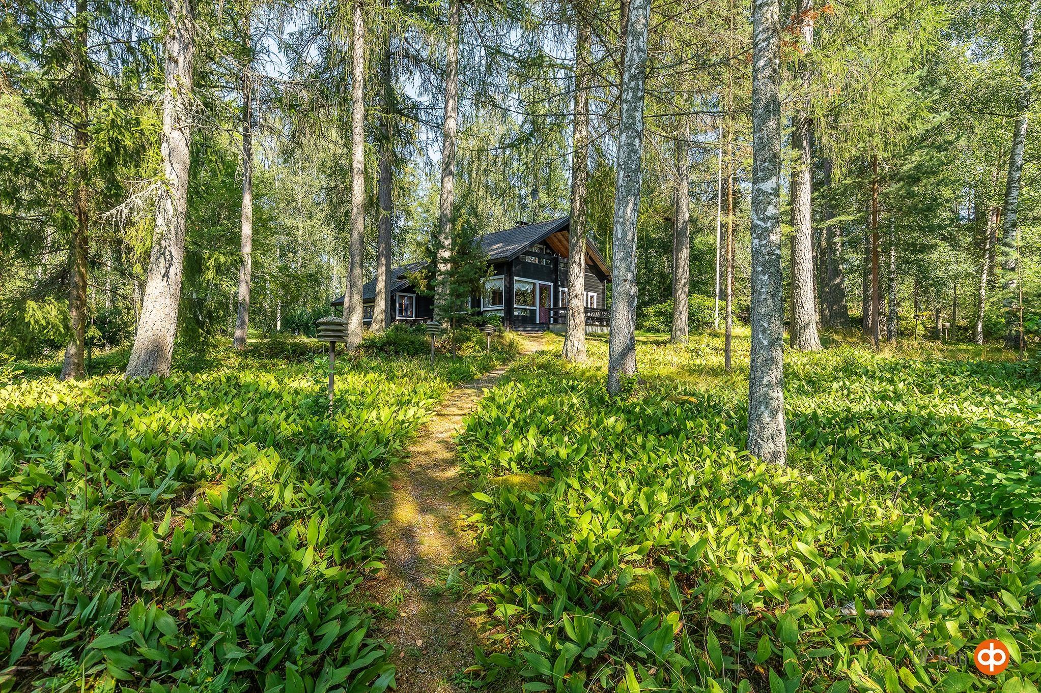 Kohdekuva 45