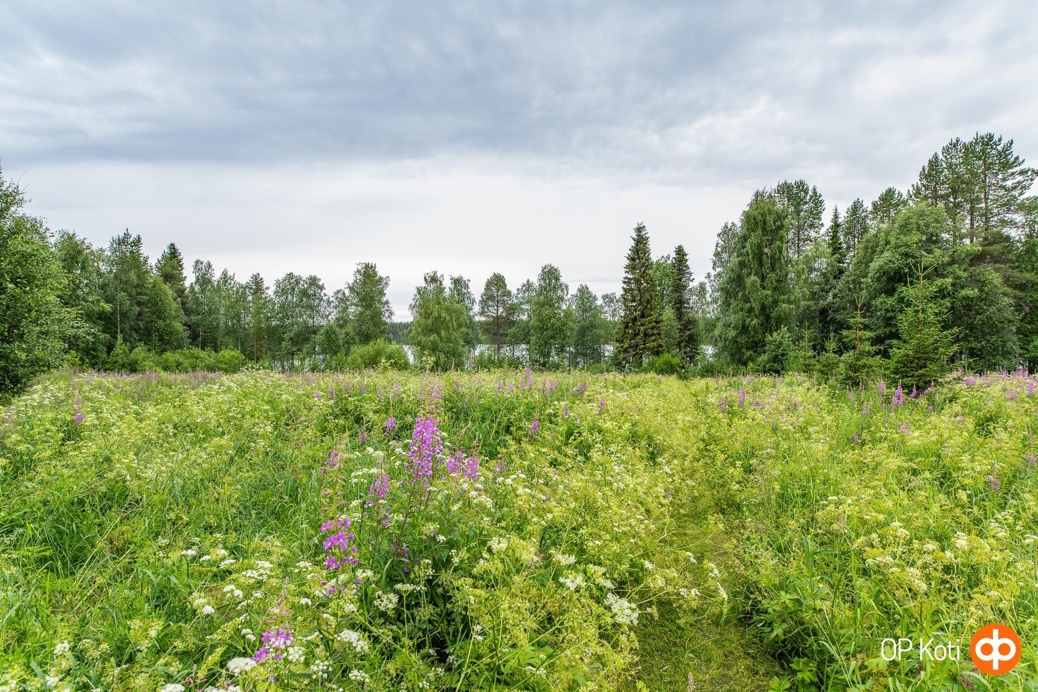 Kohdekuva 50