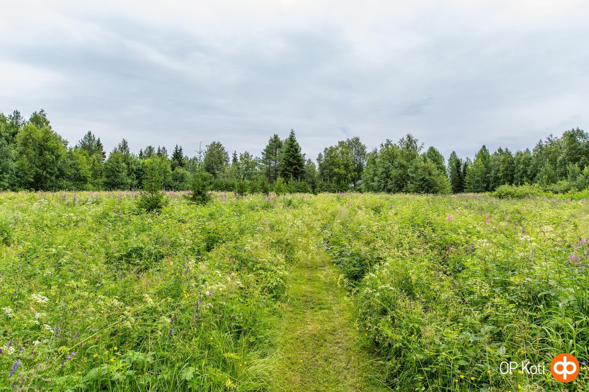 Kohdekuva 49