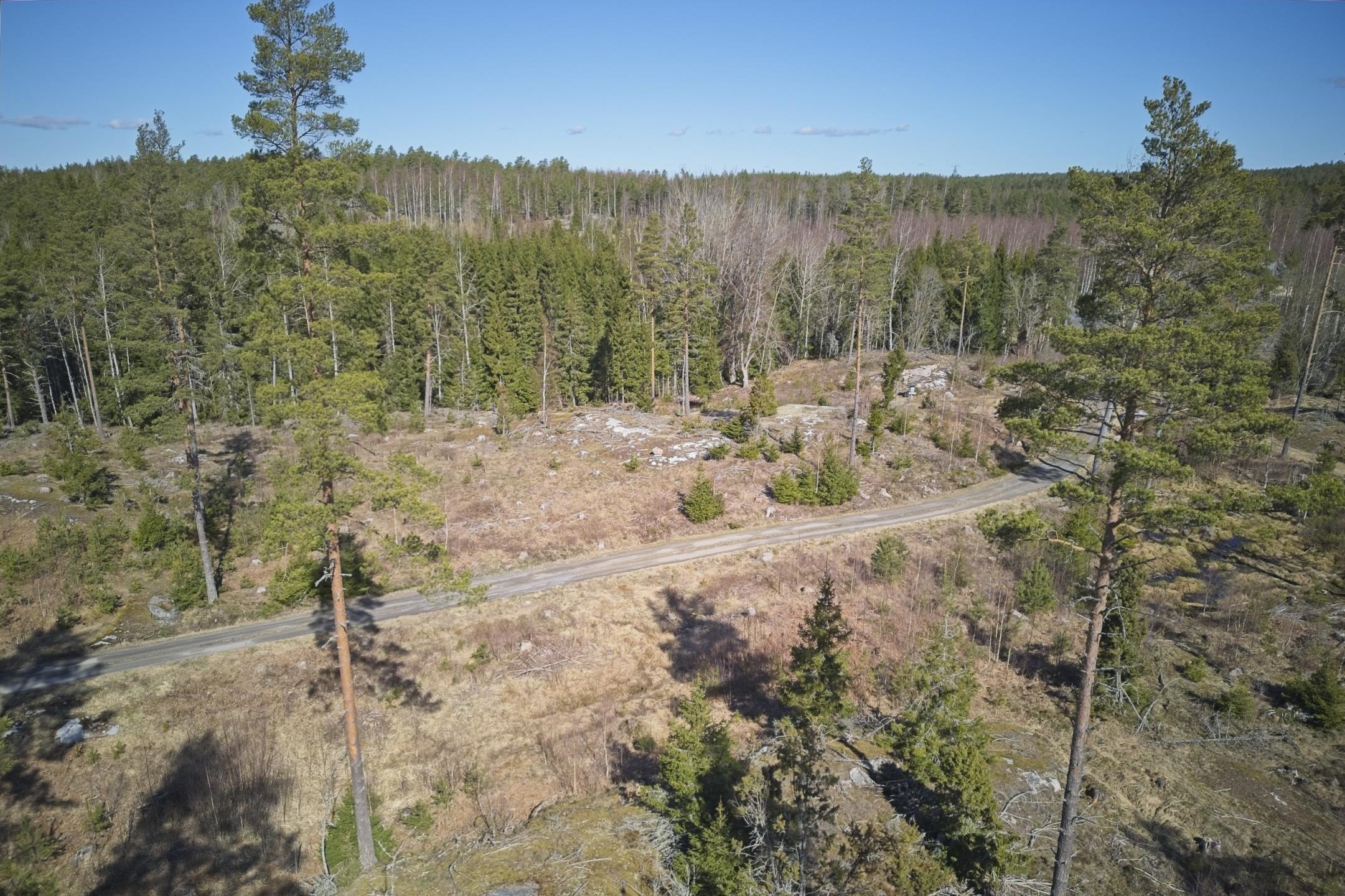 Kohdekuva 12