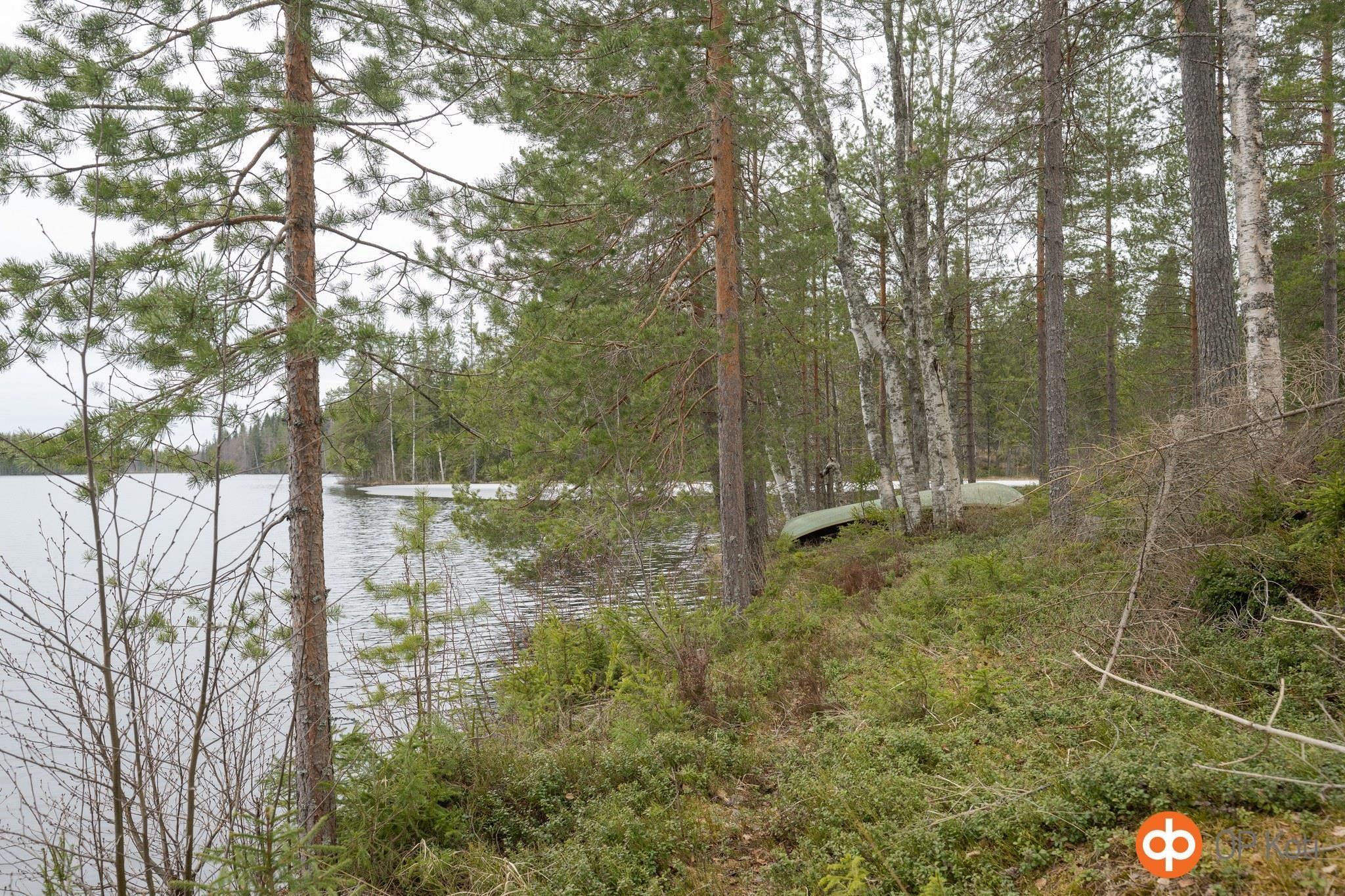 Kohdekuva 40
