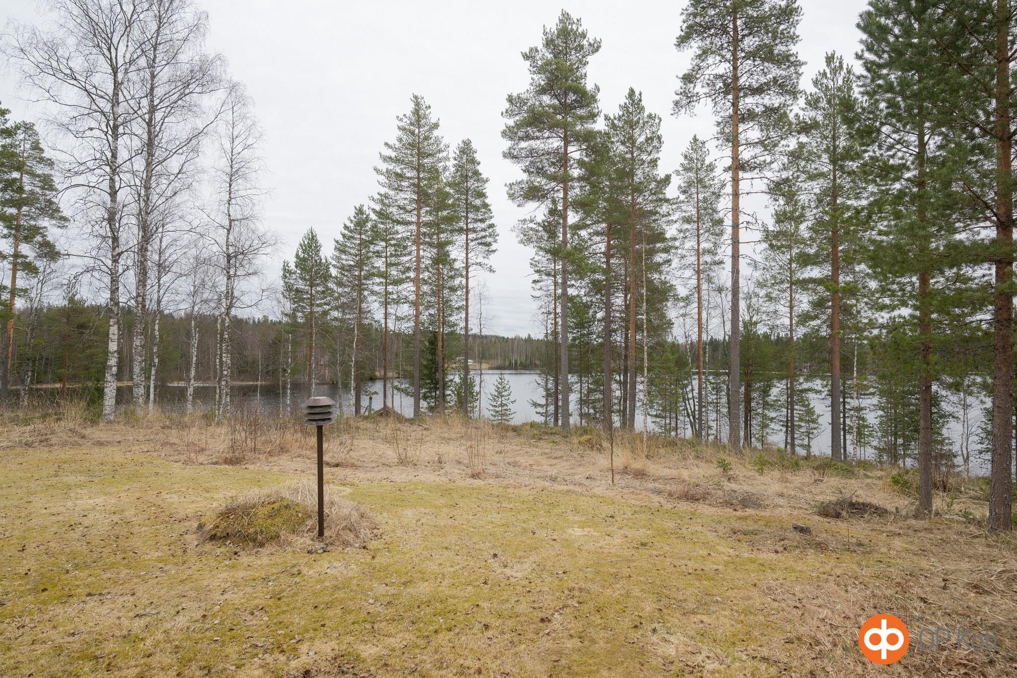 Kohdekuva 41