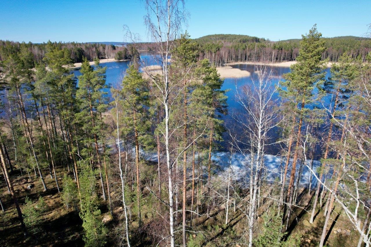 Kohdekuva 1