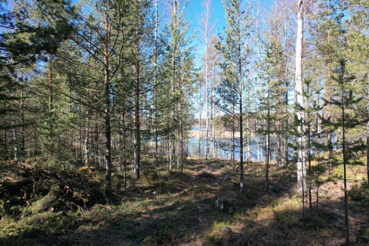 Kohdekuva 2