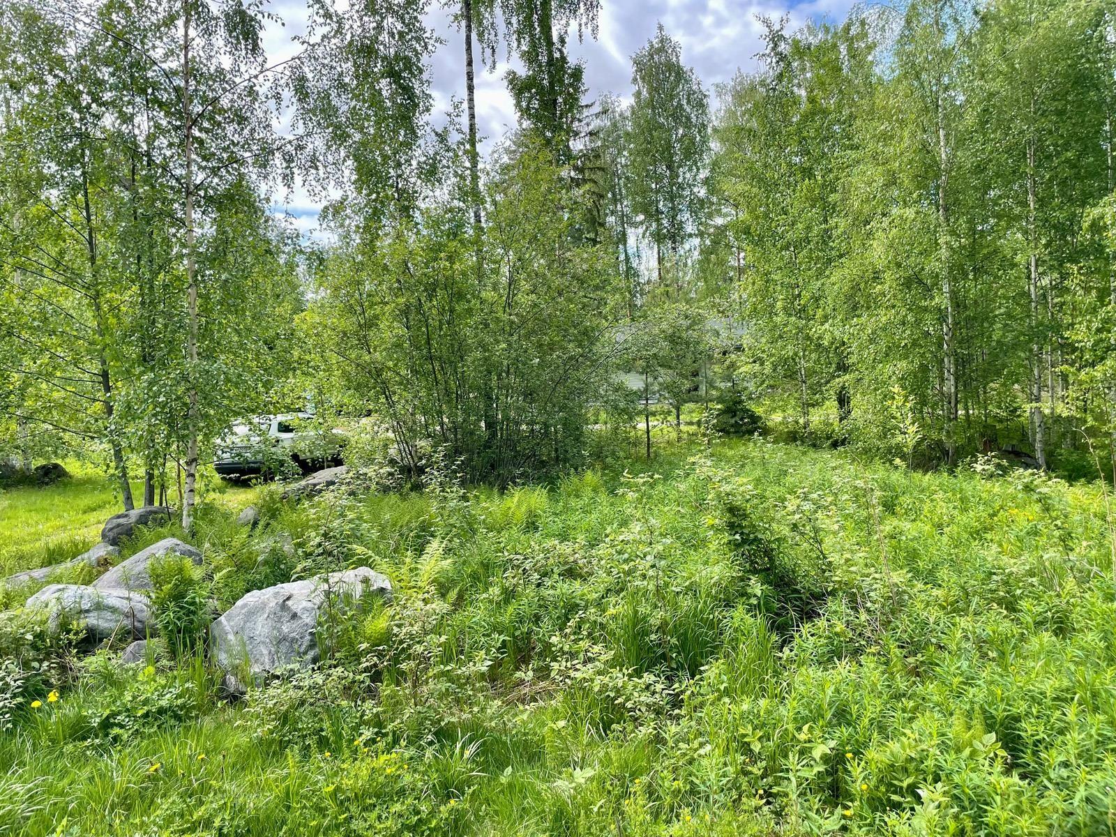 Kohdekuva 23